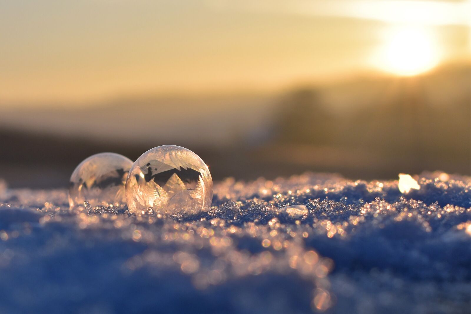 Nikon D5500 sample photo. Soap bubble, frozen, frozen photography