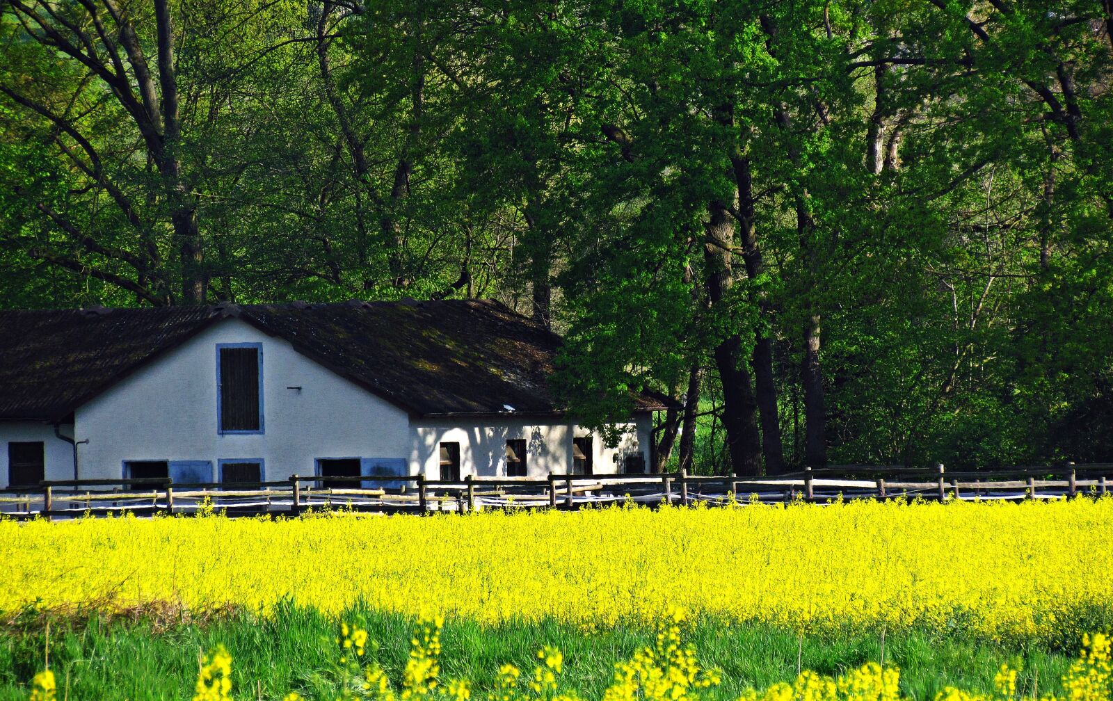 Canon PowerShot SX30 IS sample photo. House, cottage, white photography