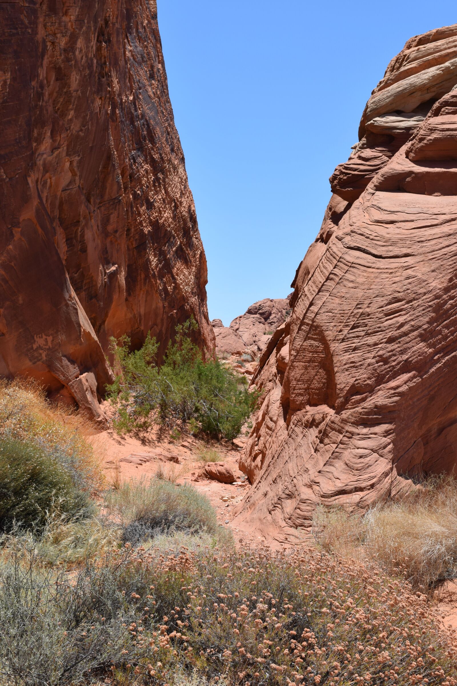 Nikon D3300 sample photo. Canyon, the valley of photography