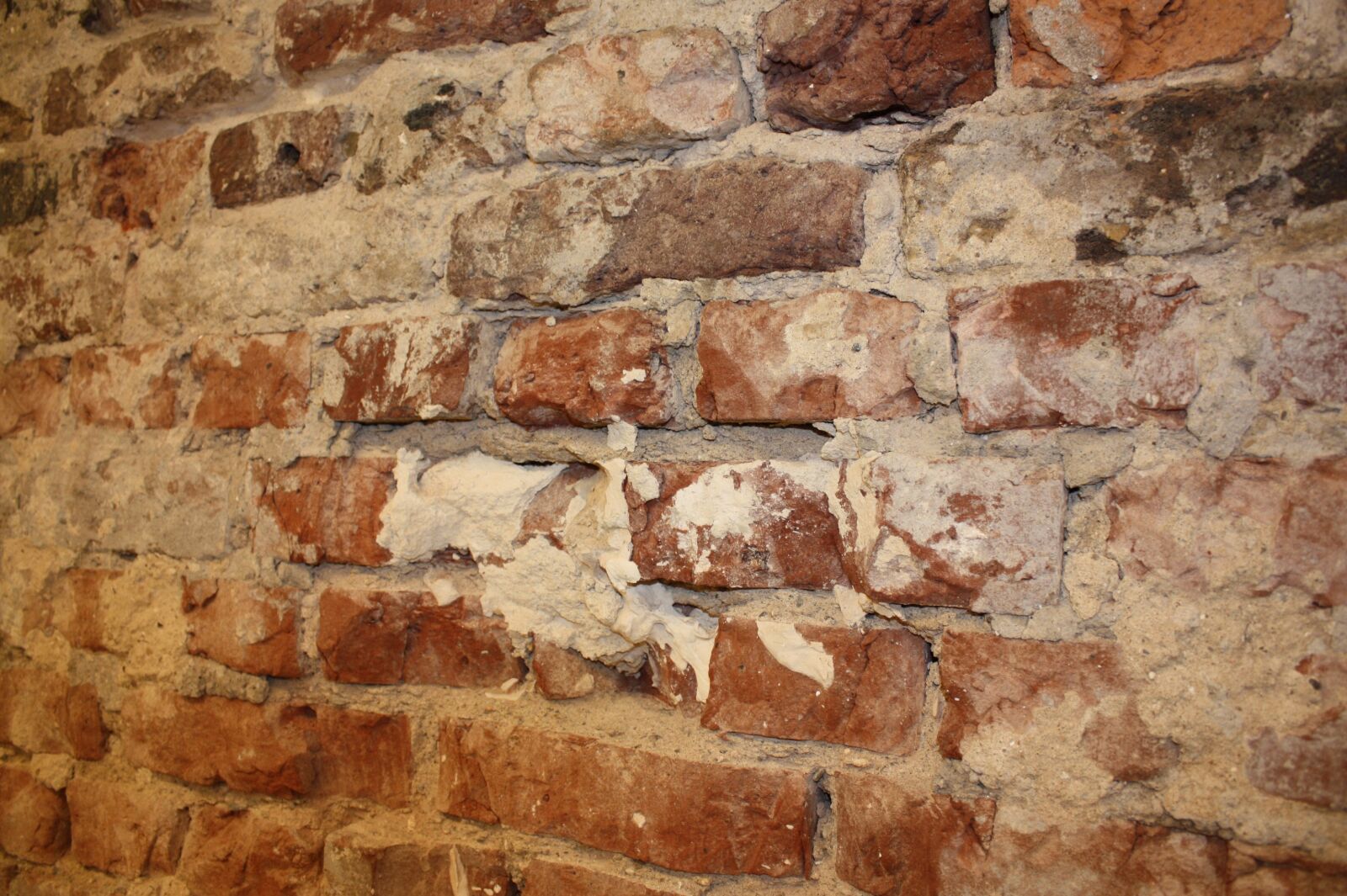 Canon EOS 450D (EOS Rebel XSi / EOS Kiss X2) sample photo. Wall, stones photography