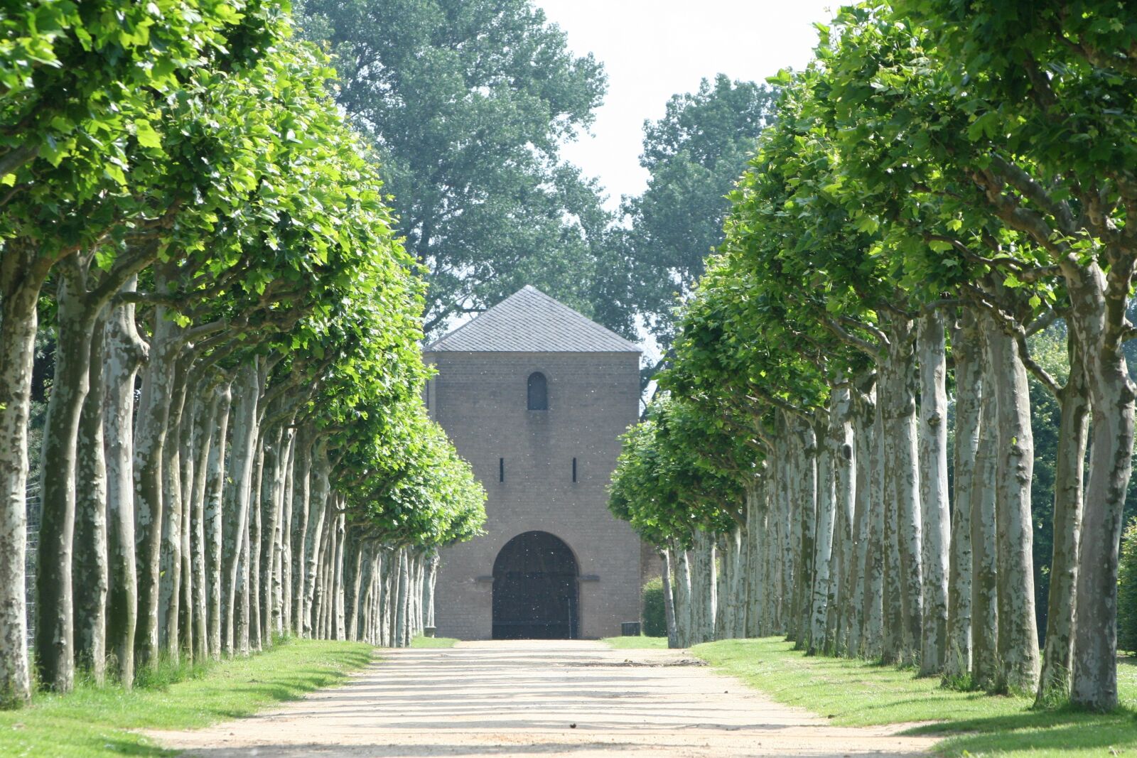 Canon EOS 350D (EOS Digital Rebel XT / EOS Kiss Digital N) sample photo. Trees, avenue, away photography