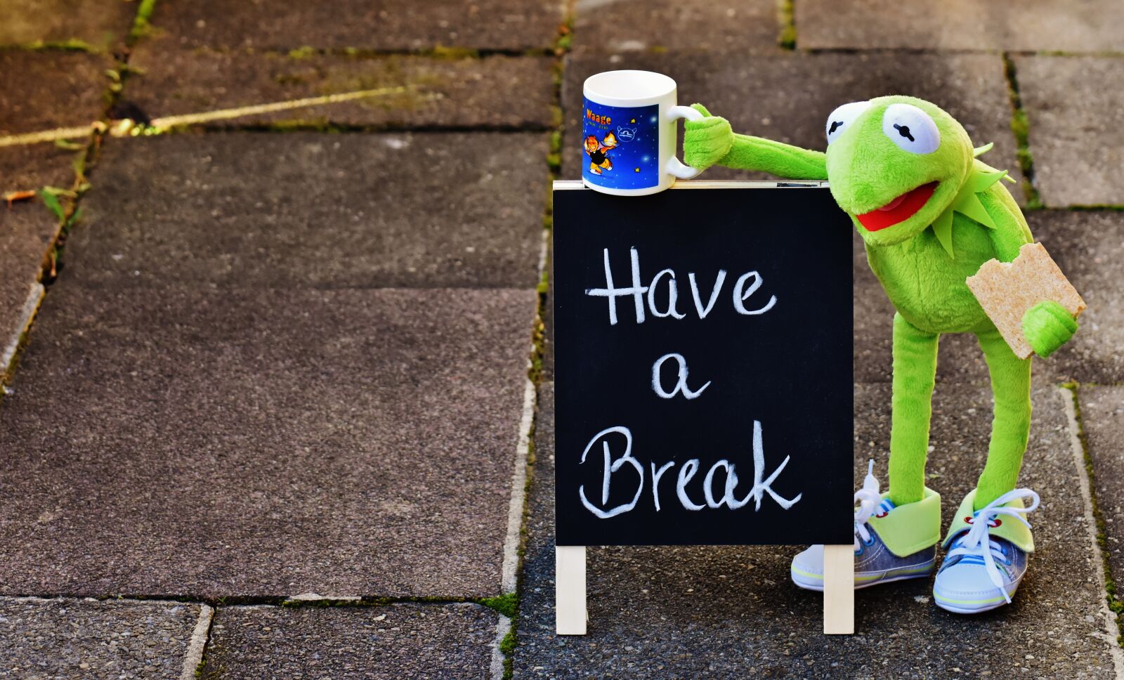 Nikon D7200 sample photo. Kermit, cup, drink coffee photography