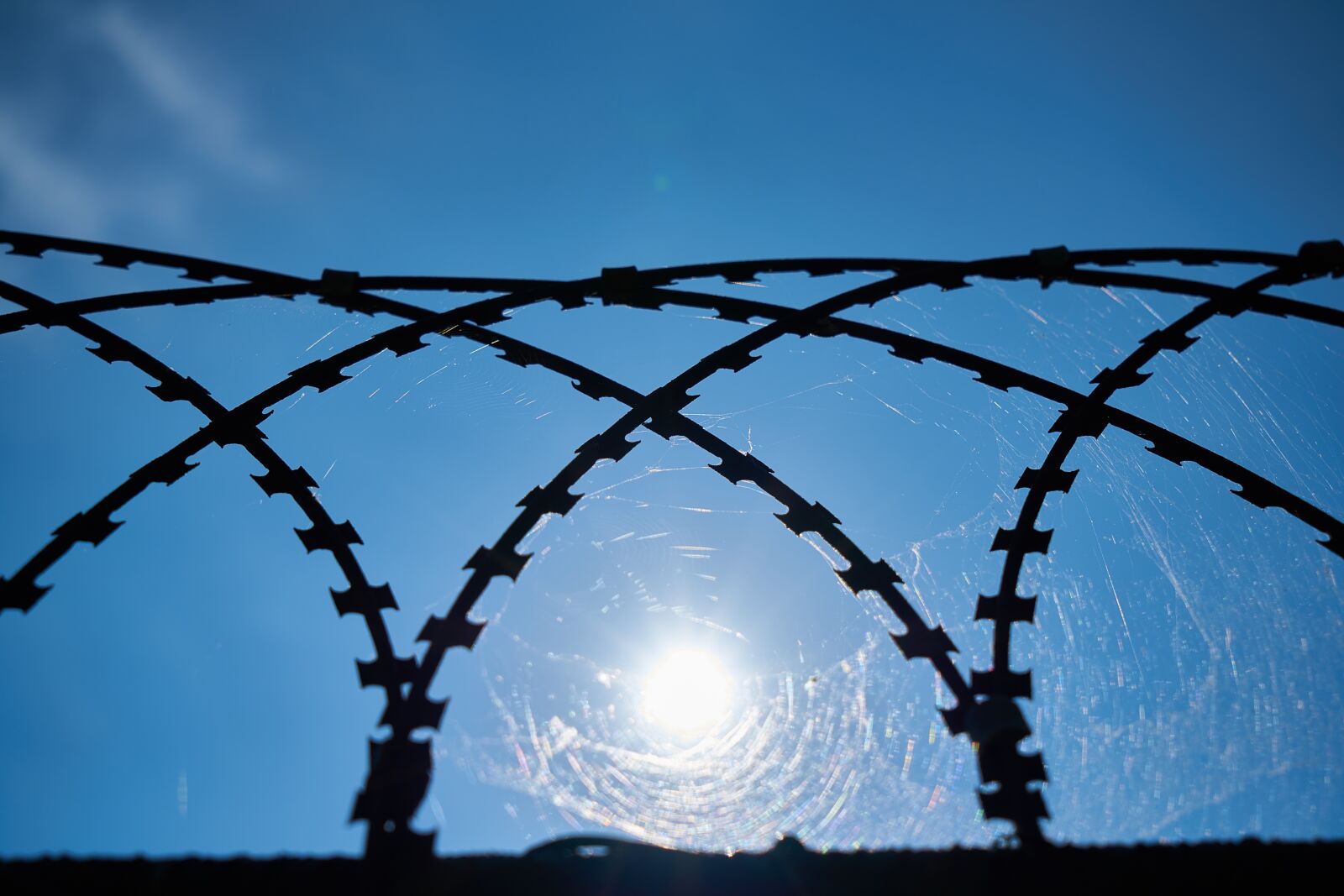 Sony a7R II + Sony Vario Tessar T* FE 24-70mm F4 ZA OSS sample photo. Barbed wire, daniel, detail photography