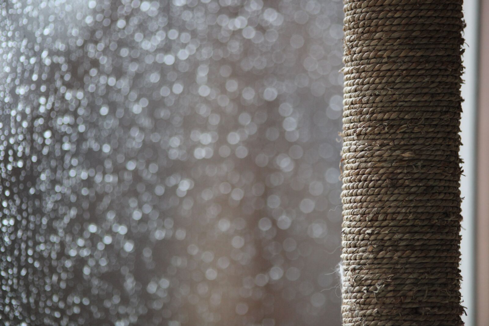 Canon EOS 5D Mark II sample photo. Rain, drip, drop of photography