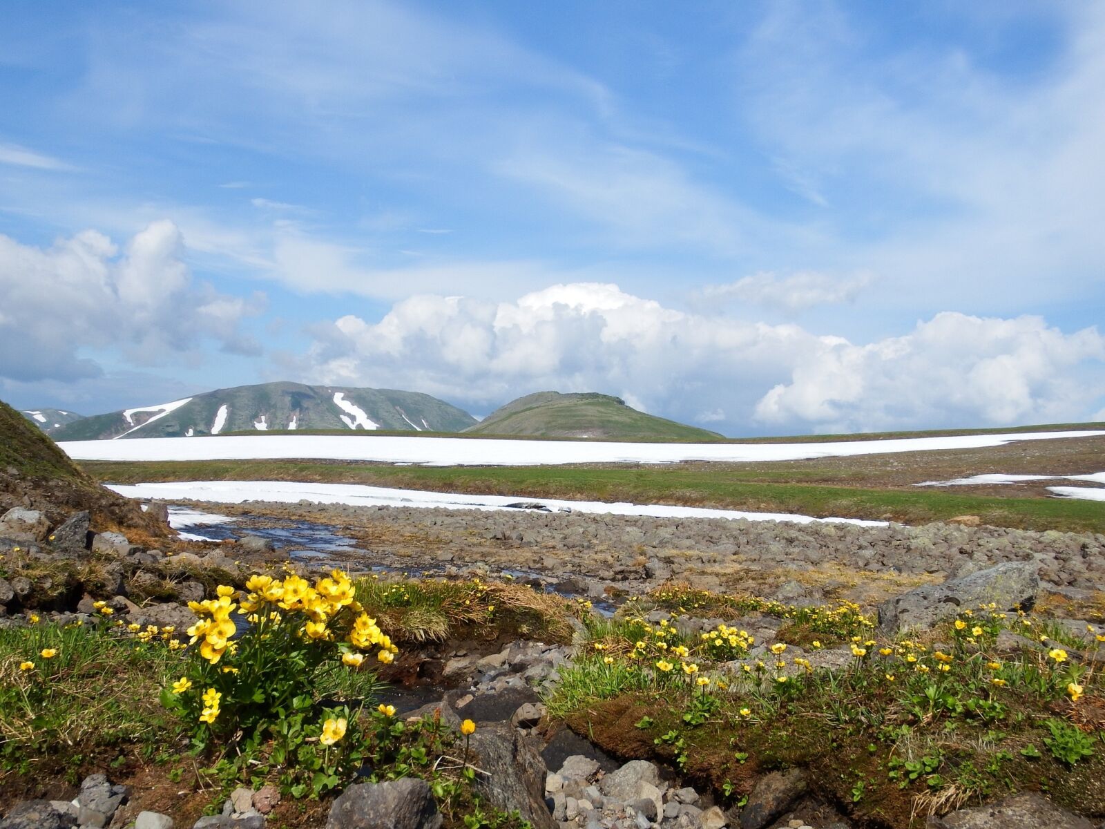 Fujifilm FinePix S1 sample photo. Creek, mountain plateau, flowers photography