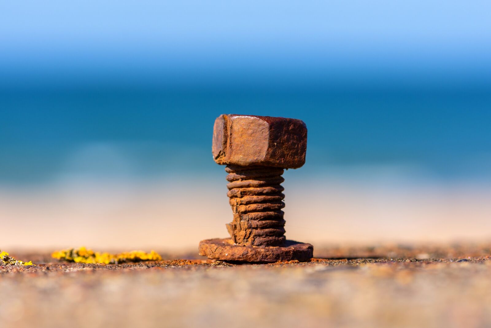 Nikon D7200 sample photo. Screw, mother, thread photography