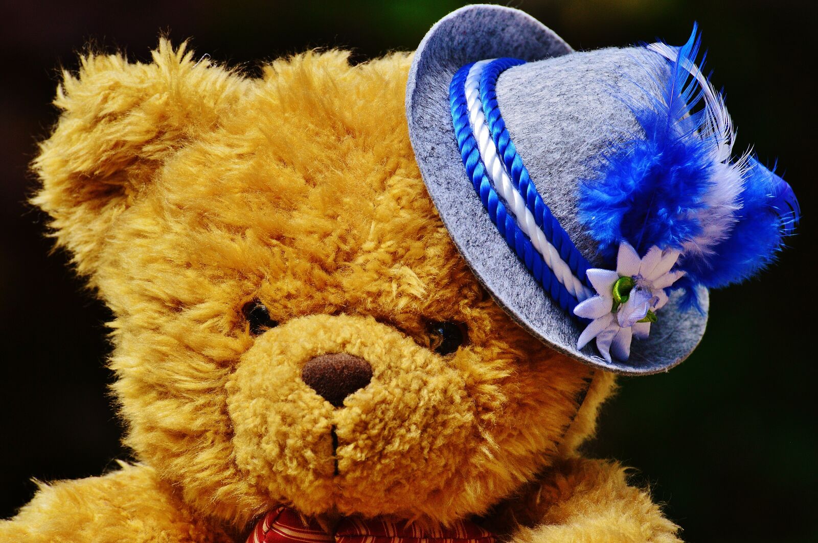 Nikon D3200 sample photo. Oktoberfest, teddy, hat photography