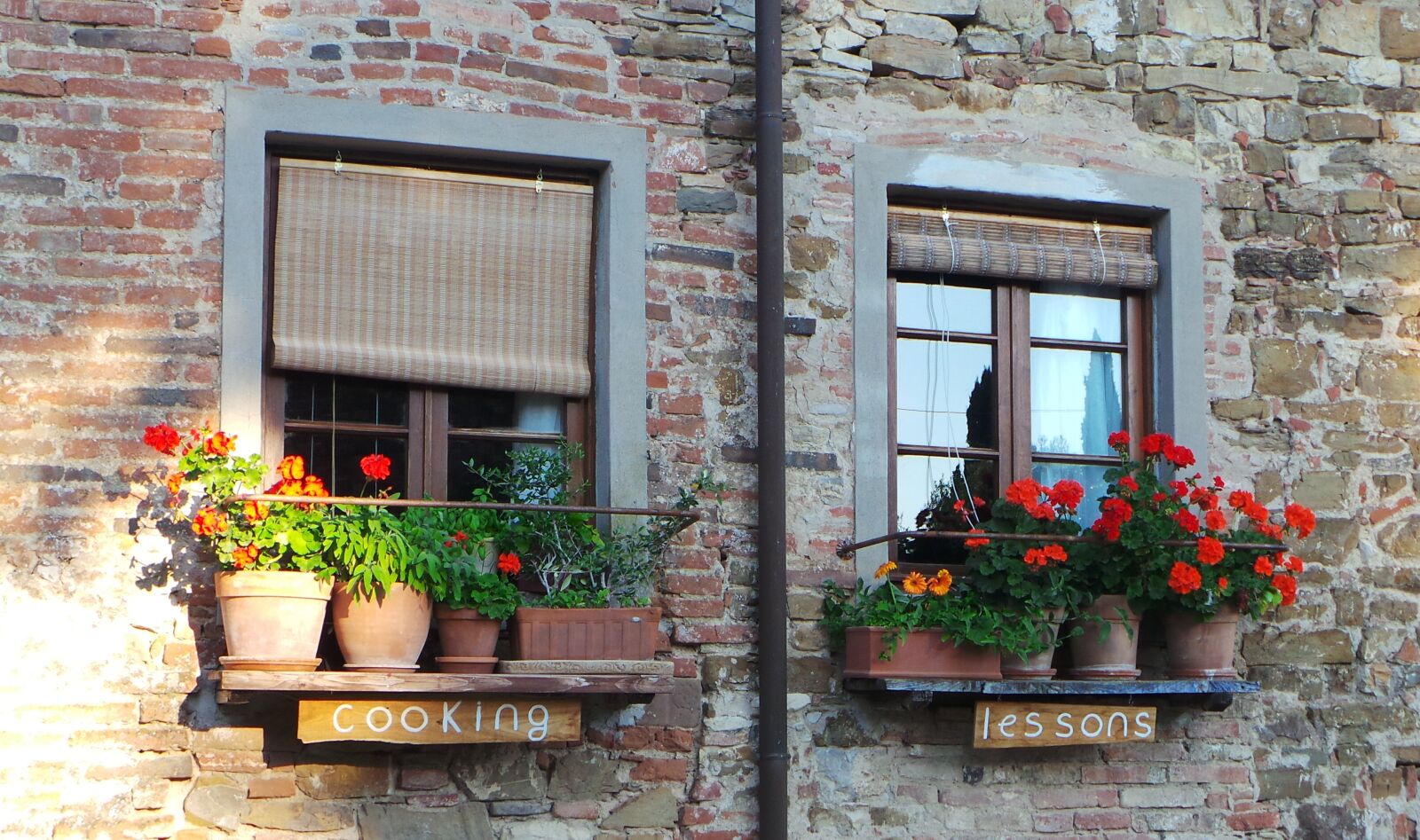 Samsung Galaxy Camera (Wi-Fi) sample photo. Windows, flowers, house photography