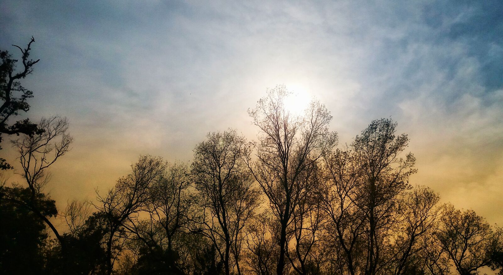 Samsung Galaxy J5(2016) sample photo. Natural beauty, forest, nepali photography