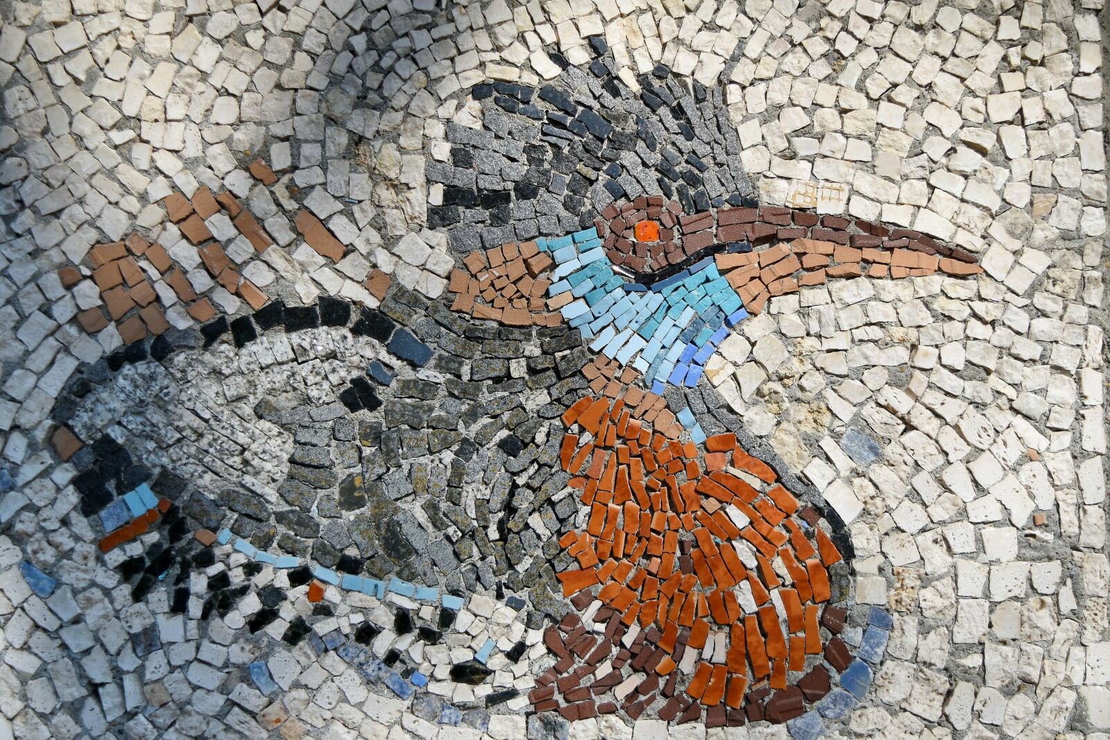 Nikon D5500 sample photo. Art, bird, colourful, mosaic photography