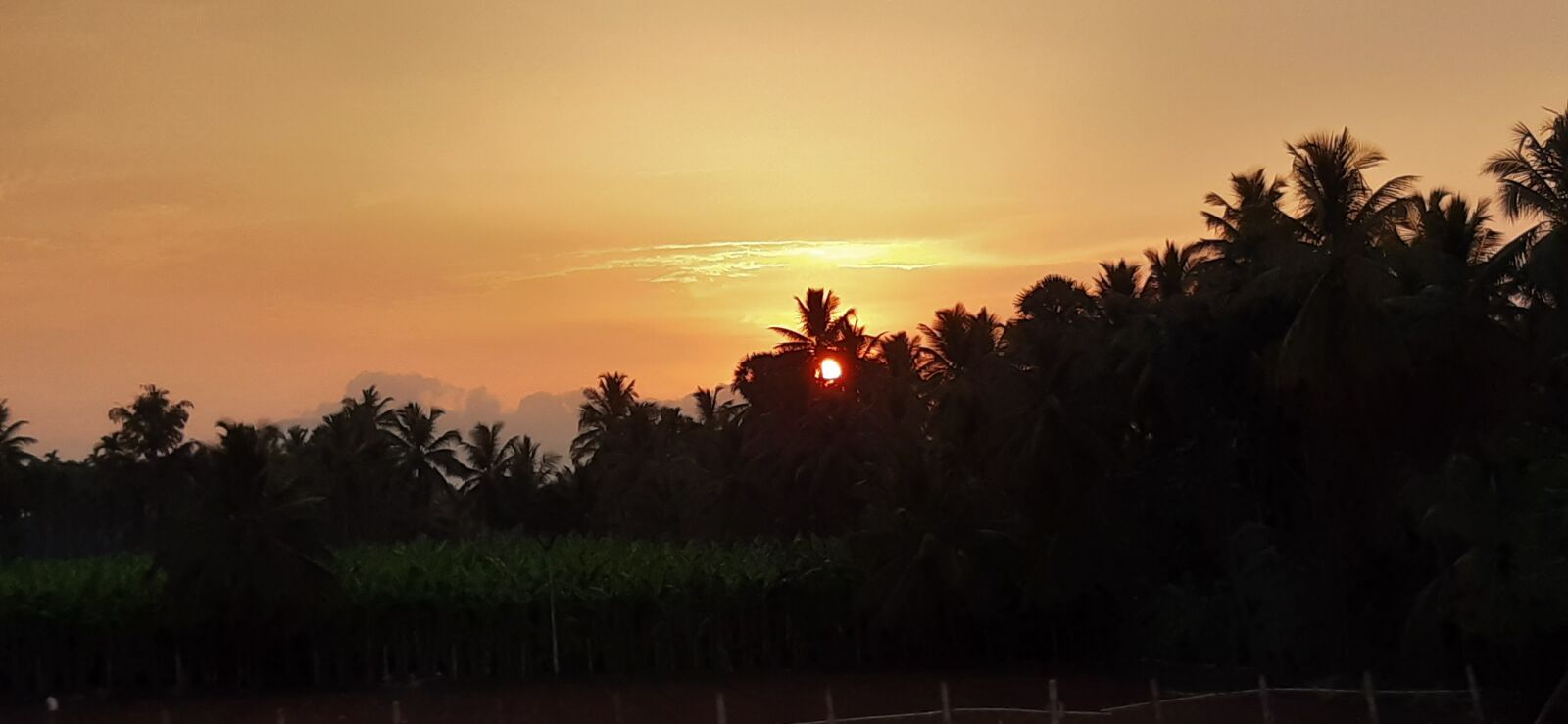Samsung Galaxy A30 sample photo. Sunset, evening, nature photography