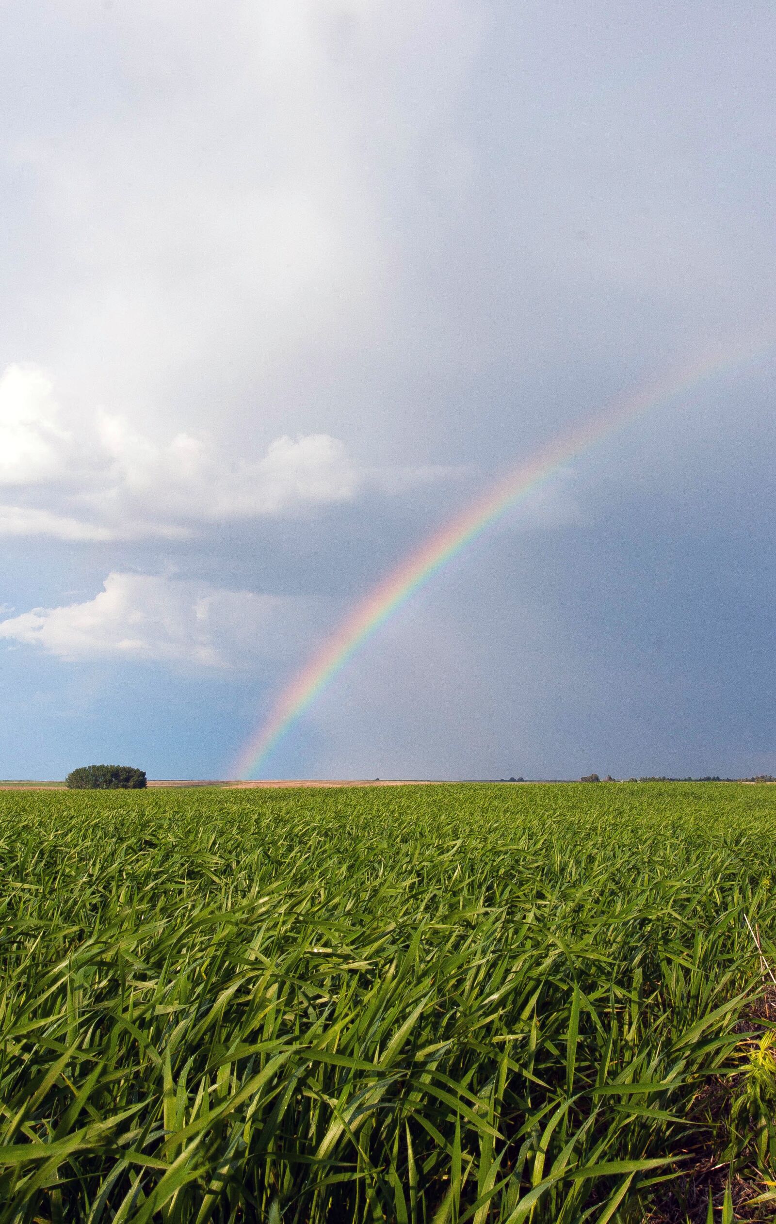 Nikon D3200 sample photo. Rainbow, fields, landscape photography