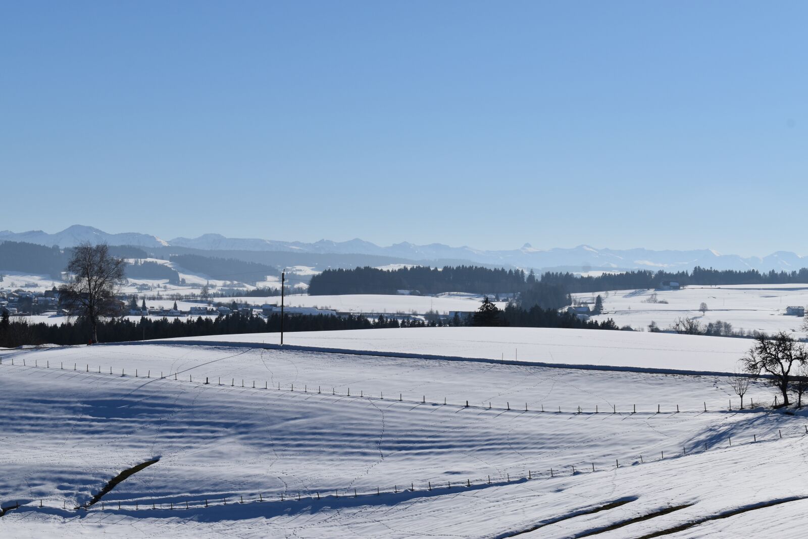 Nikon D3500 sample photo. Winter, snow, nature photography