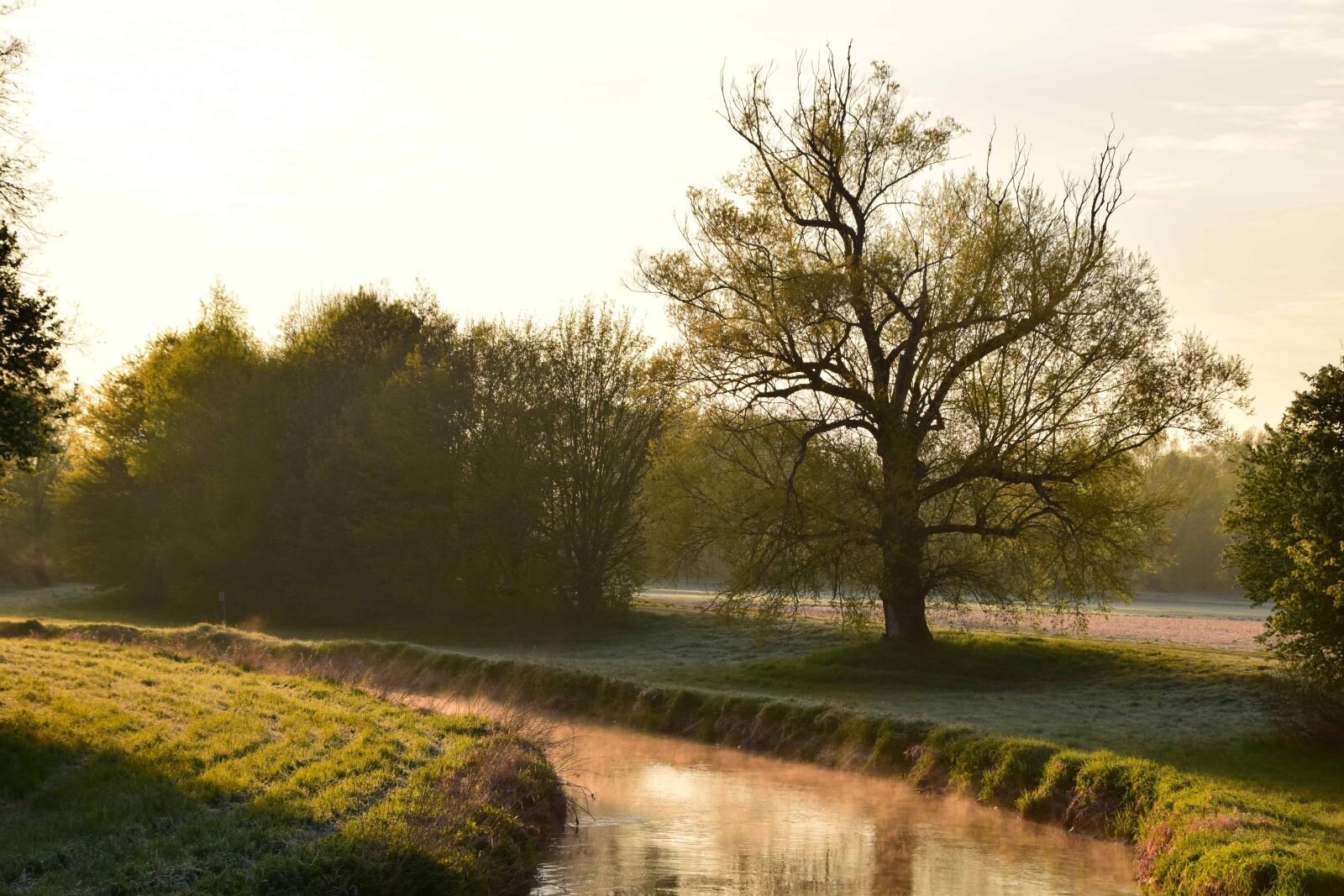 Nikon D3300 sample photo. Tree, nature, landscape, river photography