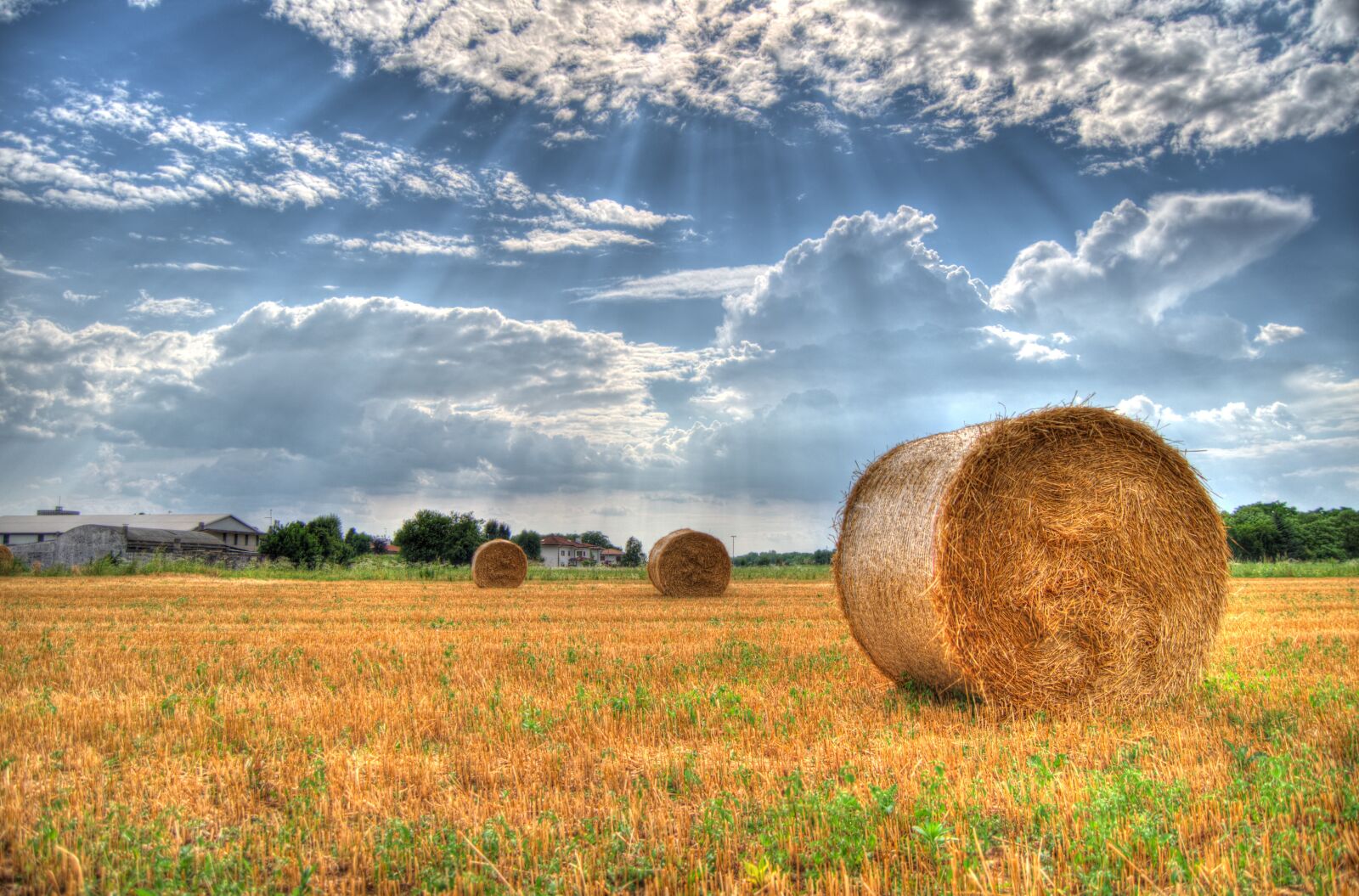 Nikon D5100 sample photo. Bales, hay, agriculture photography