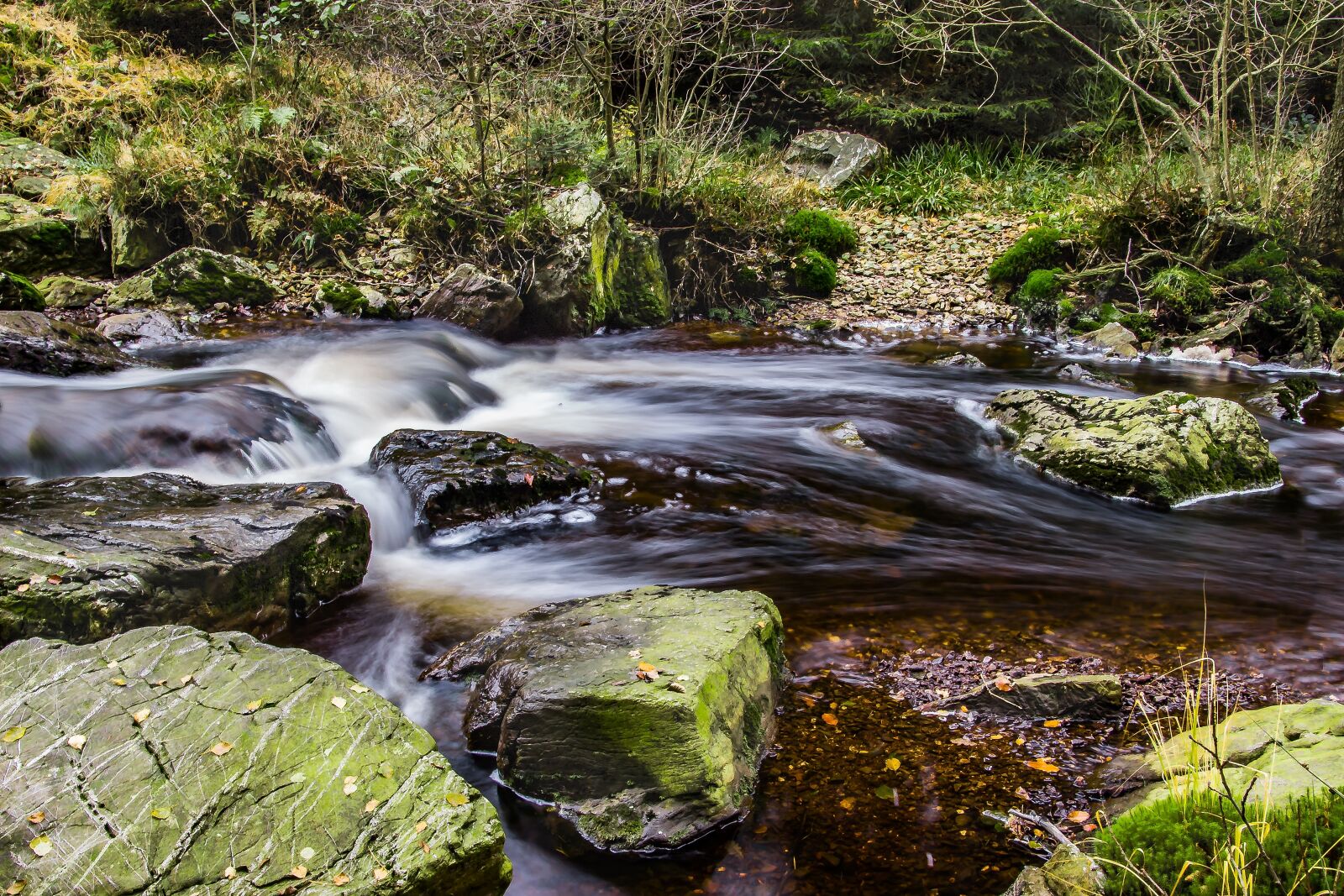 Canon EOS 650D (EOS Rebel T4i / EOS Kiss X6i) sample photo. River, bach, water photography