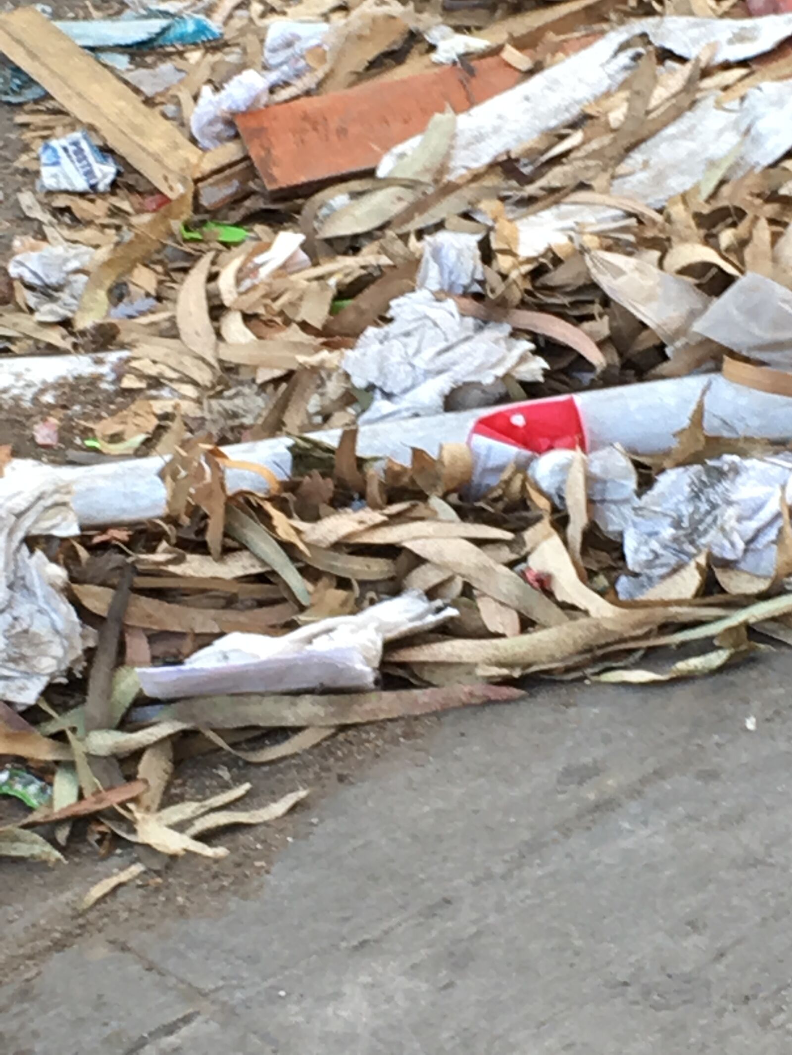 iPhone SE back camera 4.15mm f/2.2 sample photo. Street, trash, urban photography