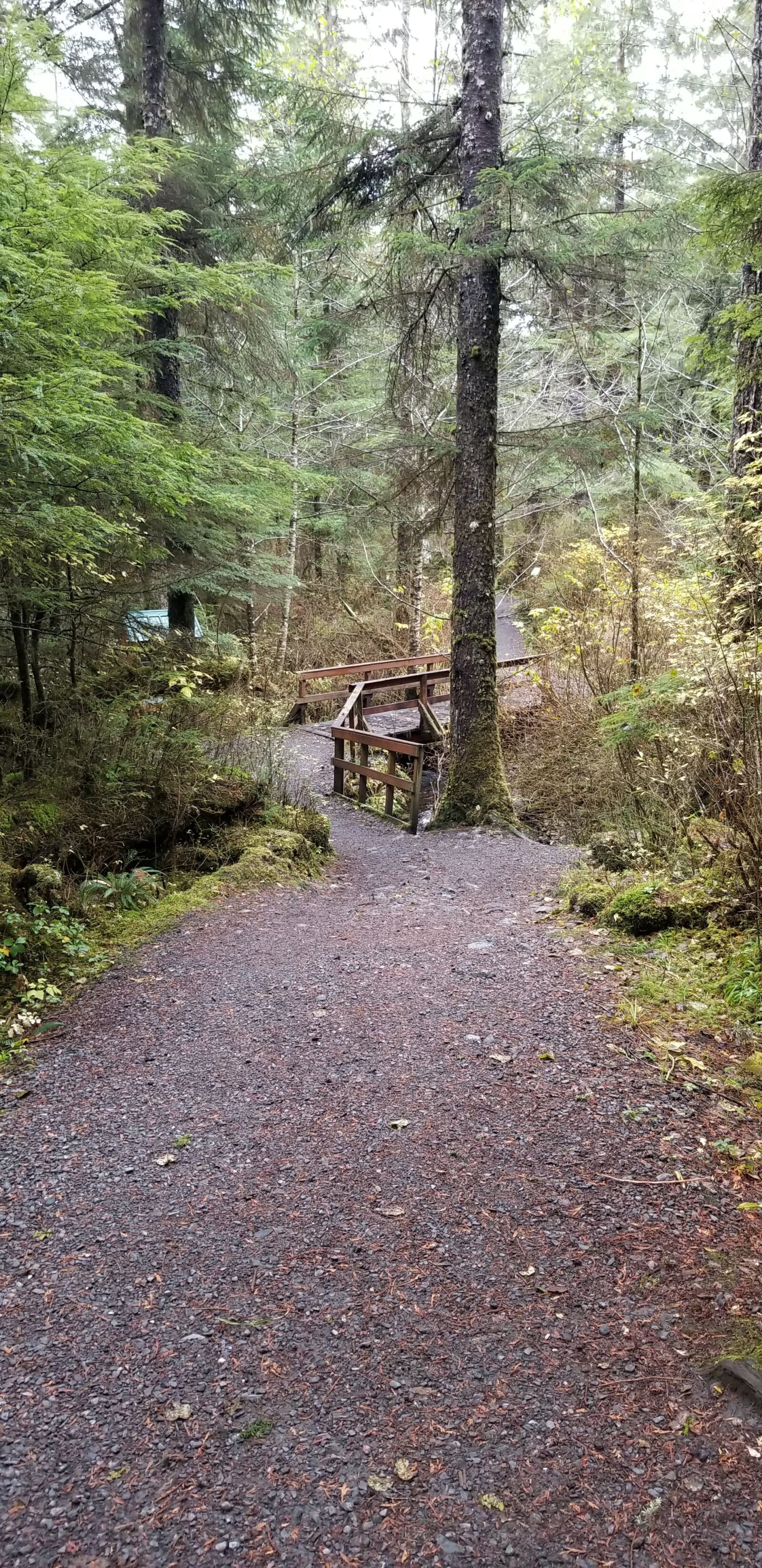 Samsung Galaxy S8 sample photo. Peaceful, path, forest photography