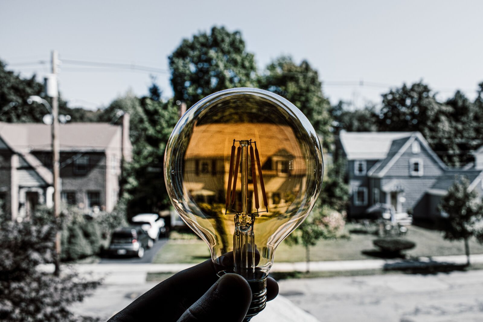 Nikon D5600 sample photo. Idea, bulb, light photography