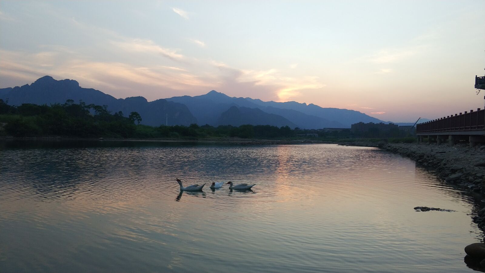 Xiaomi MI6 sample photo. Landscape, goose, sunset photography
