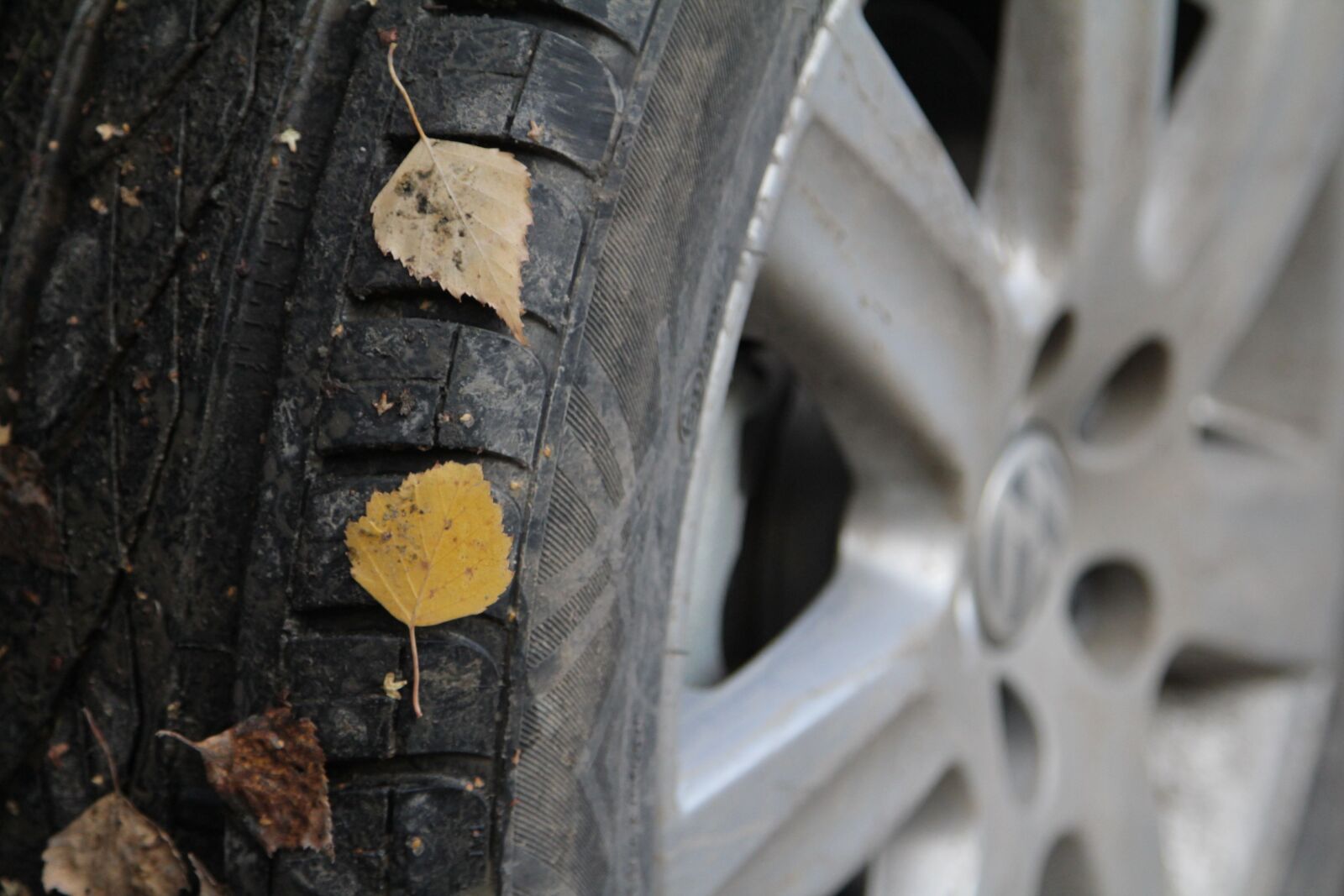Canon EOS 550D (EOS Rebel T2i / EOS Kiss X4) sample photo. Wheel, car, nature photography