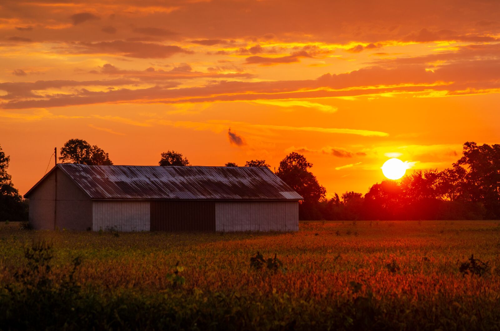 Nikon D7000 sample photo. Shed, sunset, orange photography