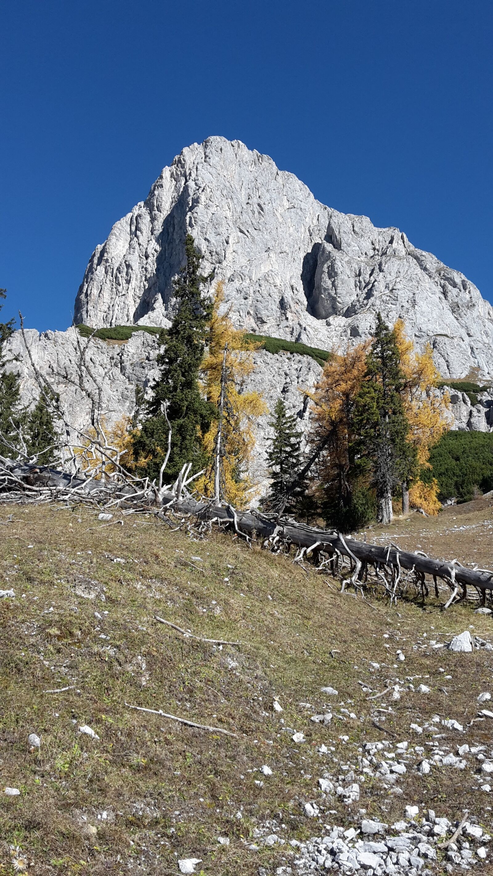 Samsung Galaxy S5 Mini sample photo. Mountain, autumn, alpine photography