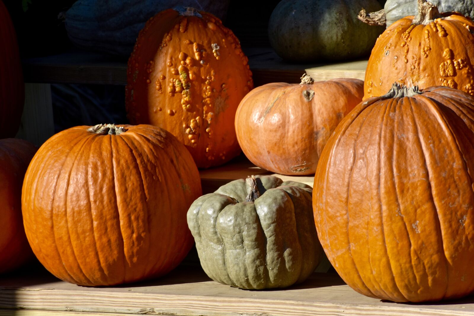 Nikon D3400 sample photo. Pumpkin, hay, farm photography