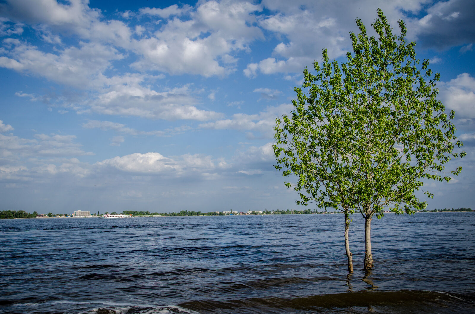 Nikon D5100 sample photo