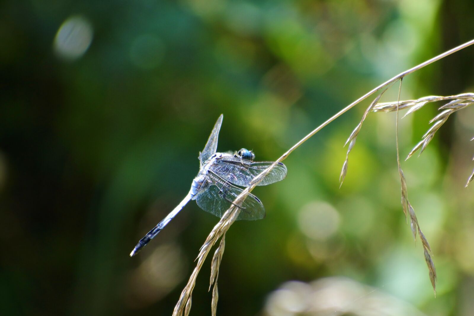 VR 70-300mm f/4.5-6.3G sample photo. Natural, landscape, sunbeams photography