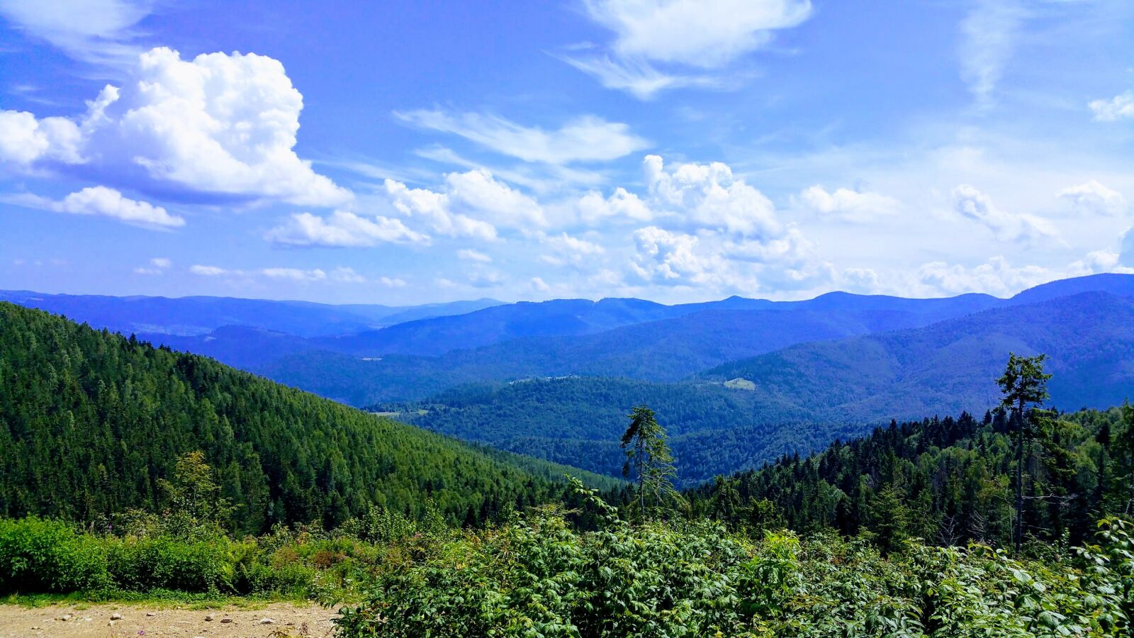Samsung Galaxy Note Edge sample photo. Mountains, the carpathians, nature photography