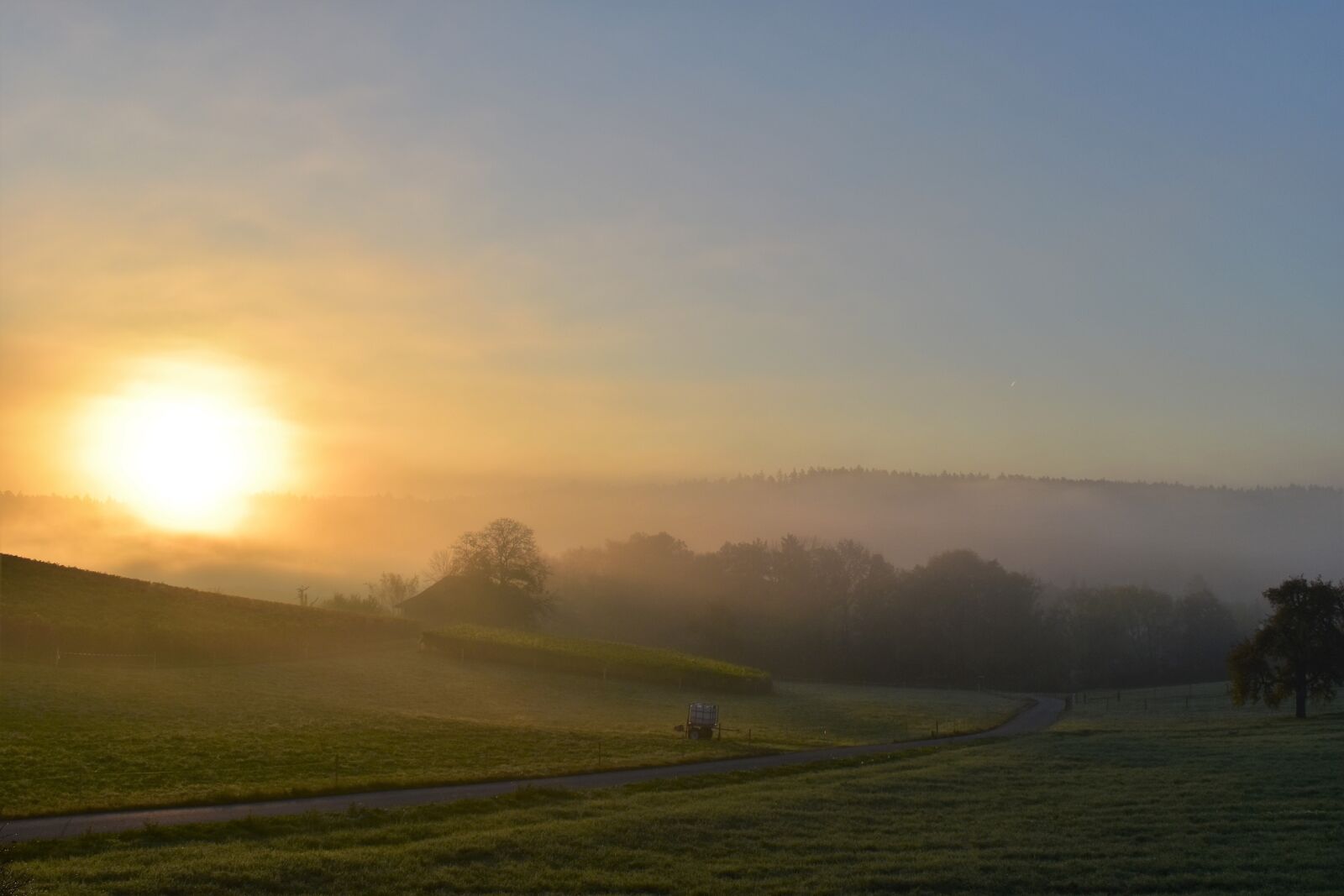 Nikon D5500 sample photo. Landscape, fog, morgenstimmung photography