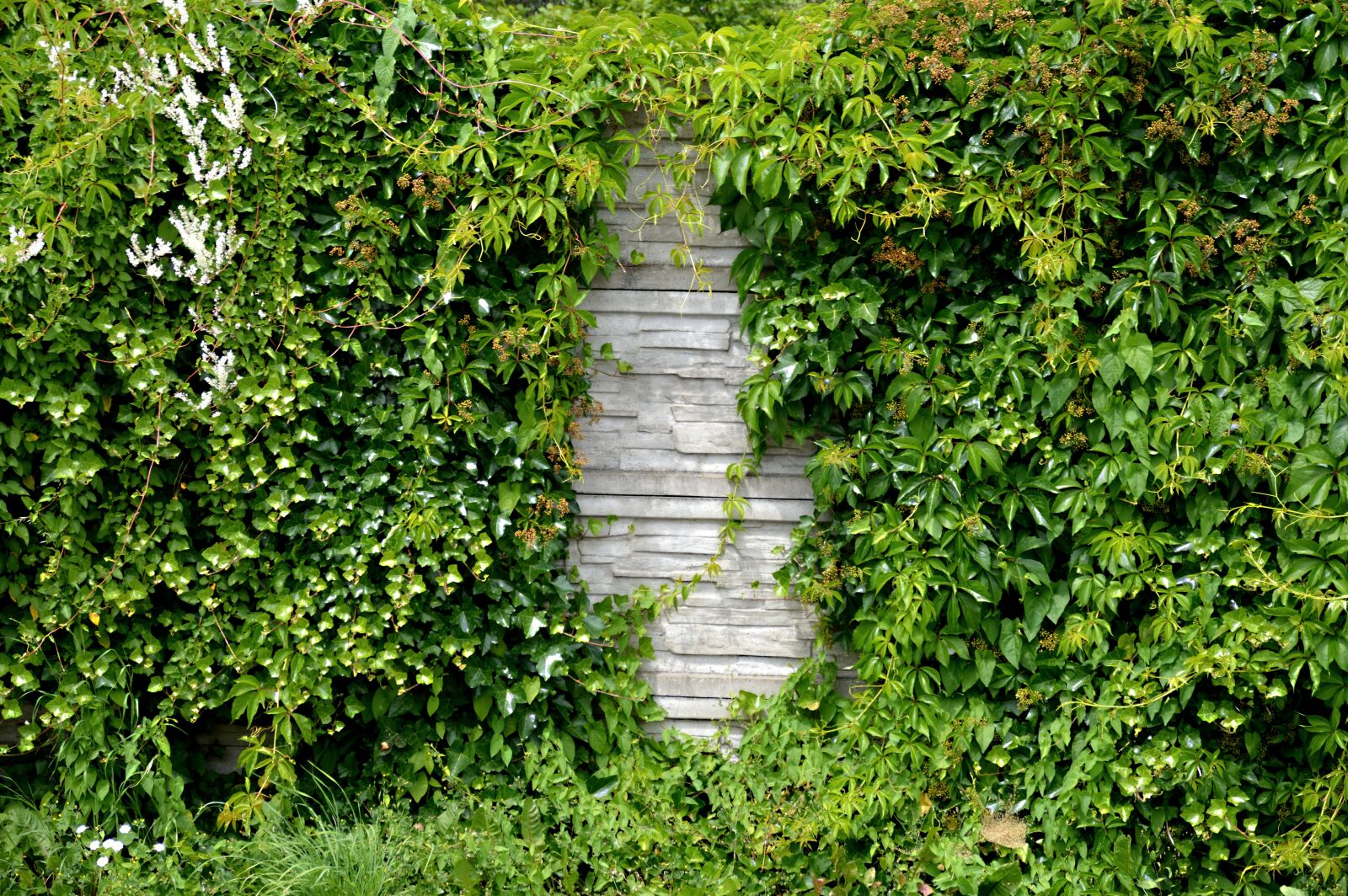 Nikon D3200 sample photo. Noise barrier, hedge, wall photography