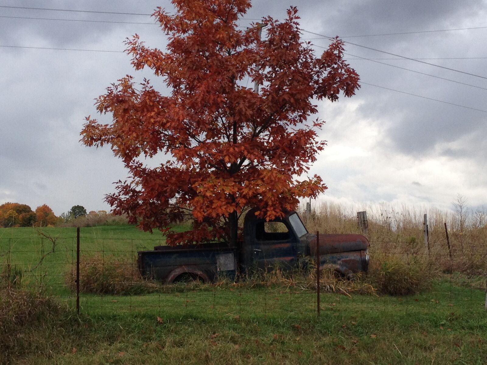 Apple iPhone 4S sample photo. Rusty, truck, autumn photography