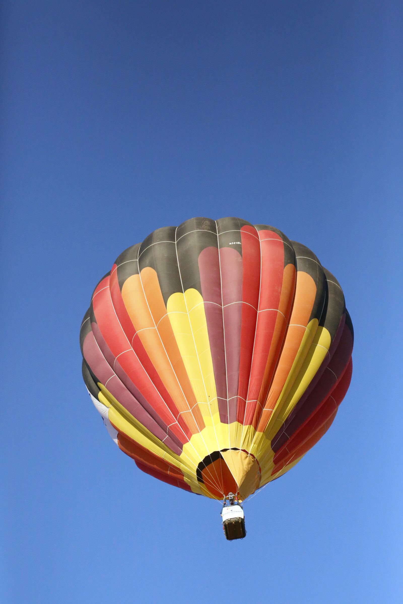 Canon EF 24-105mm F4L IS USM sample photo. Hot, air, balloons photography