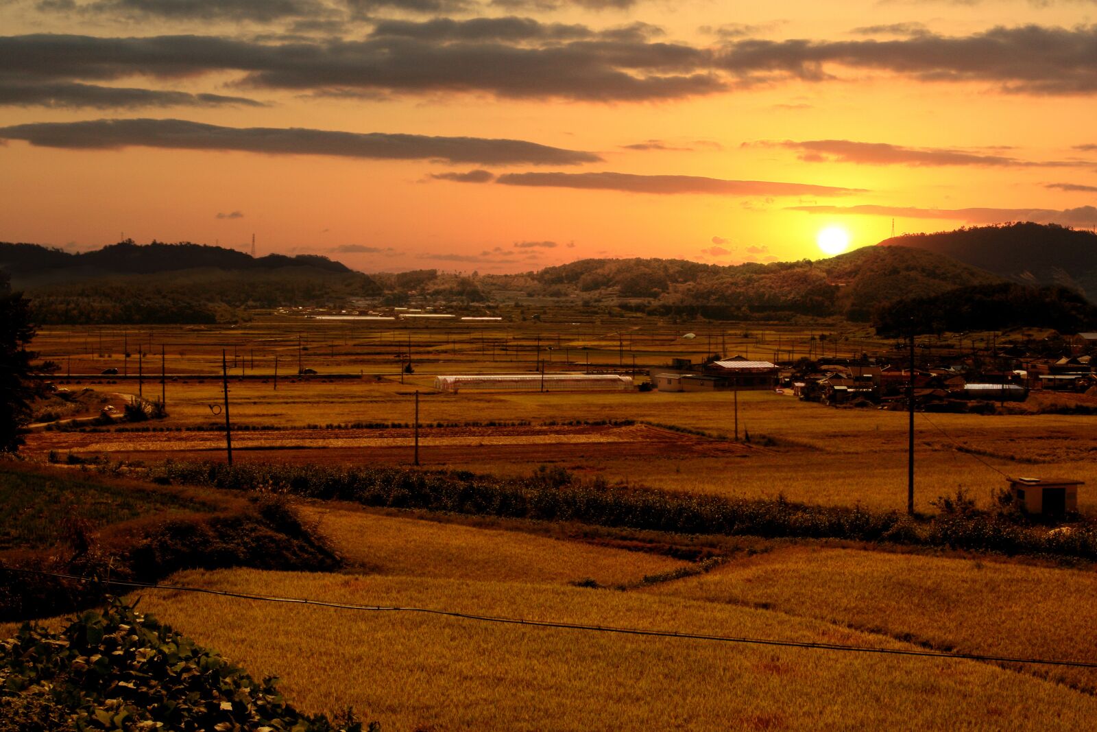 Canon EOS 40D sample photo. Rural landscape, rice paddies photography