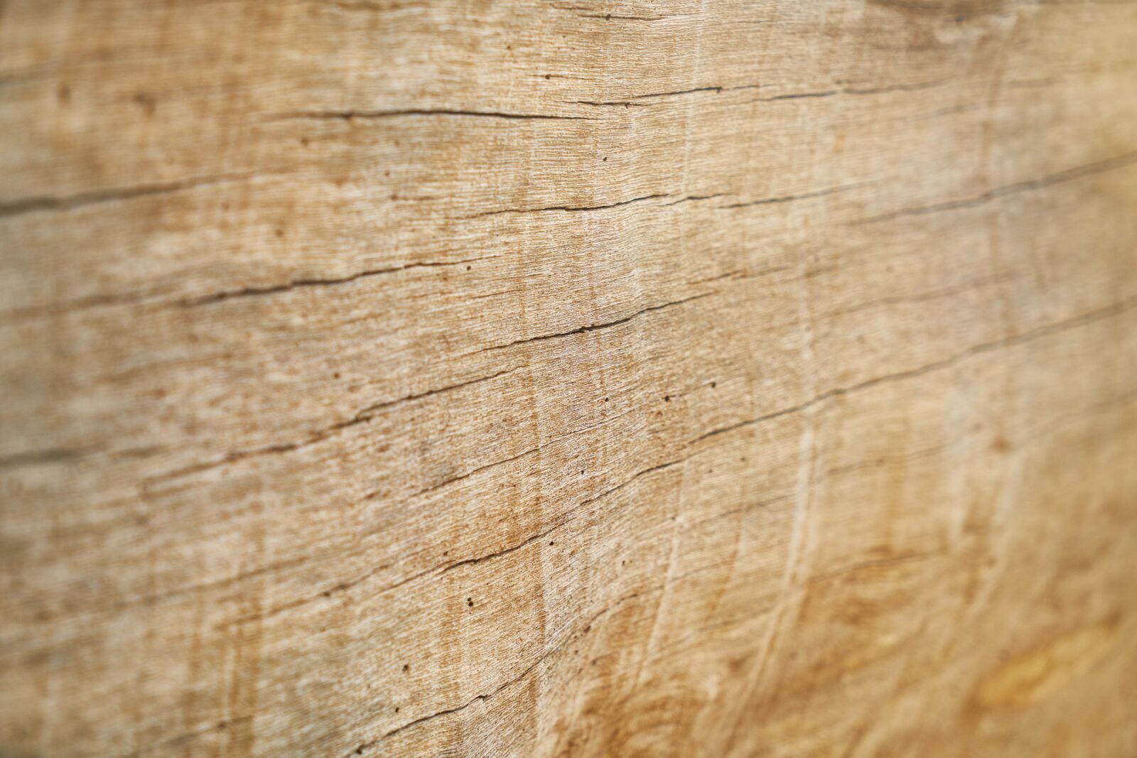 Sony a7R II sample photo. Wood, wood-fibre boards, timber photography