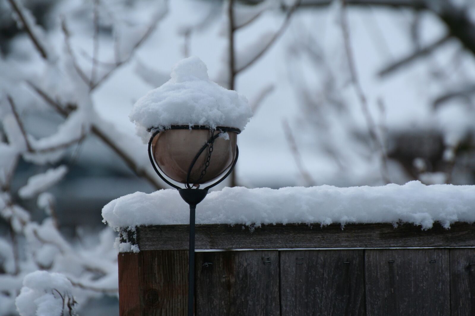 Canon EOS 350D (EOS Digital Rebel XT / EOS Kiss Digital N) sample photo. Winter, snow, cold photography
