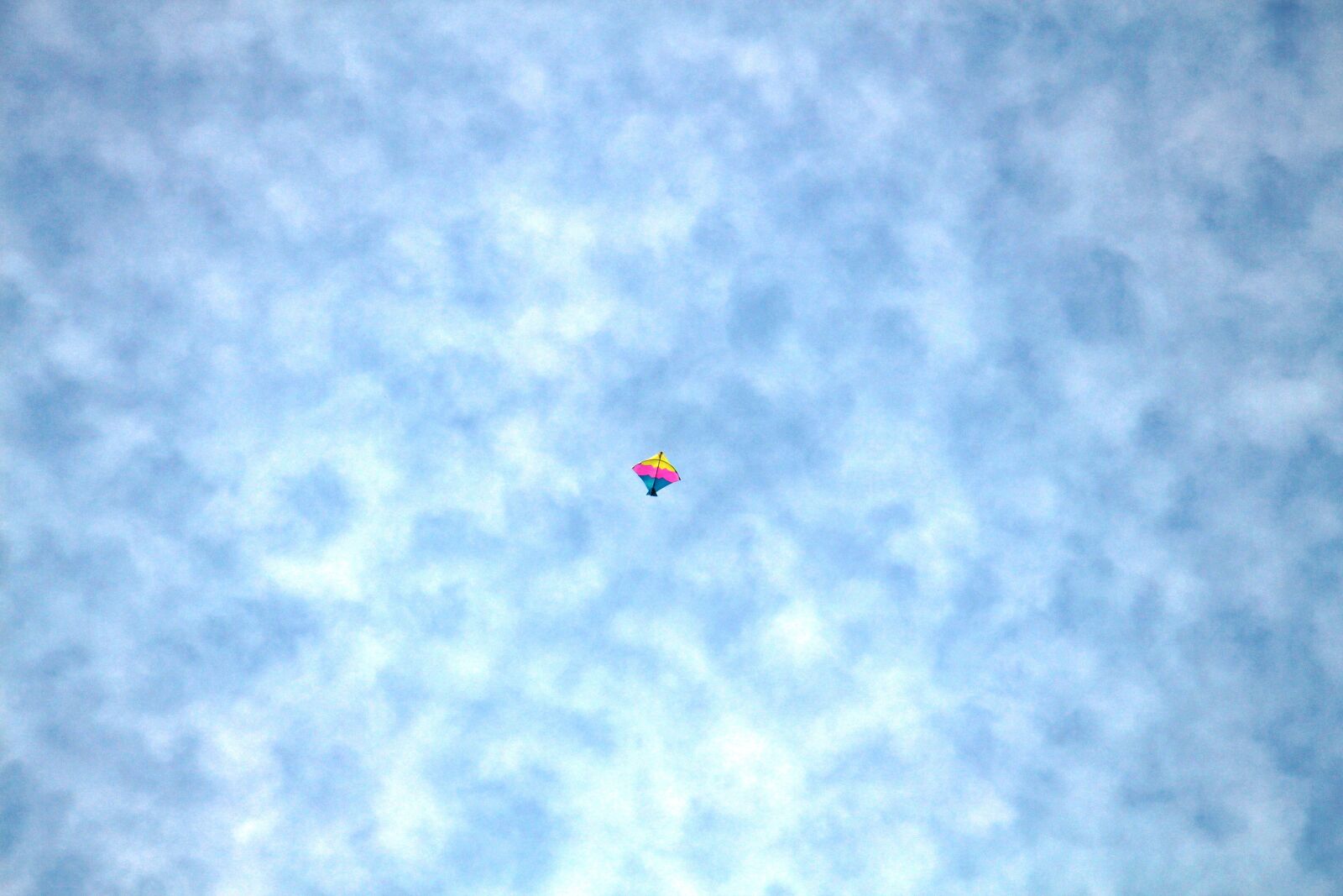 Canon EOS 700D (EOS Rebel T5i / EOS Kiss X7i) sample photo. Kite, sky, india photography