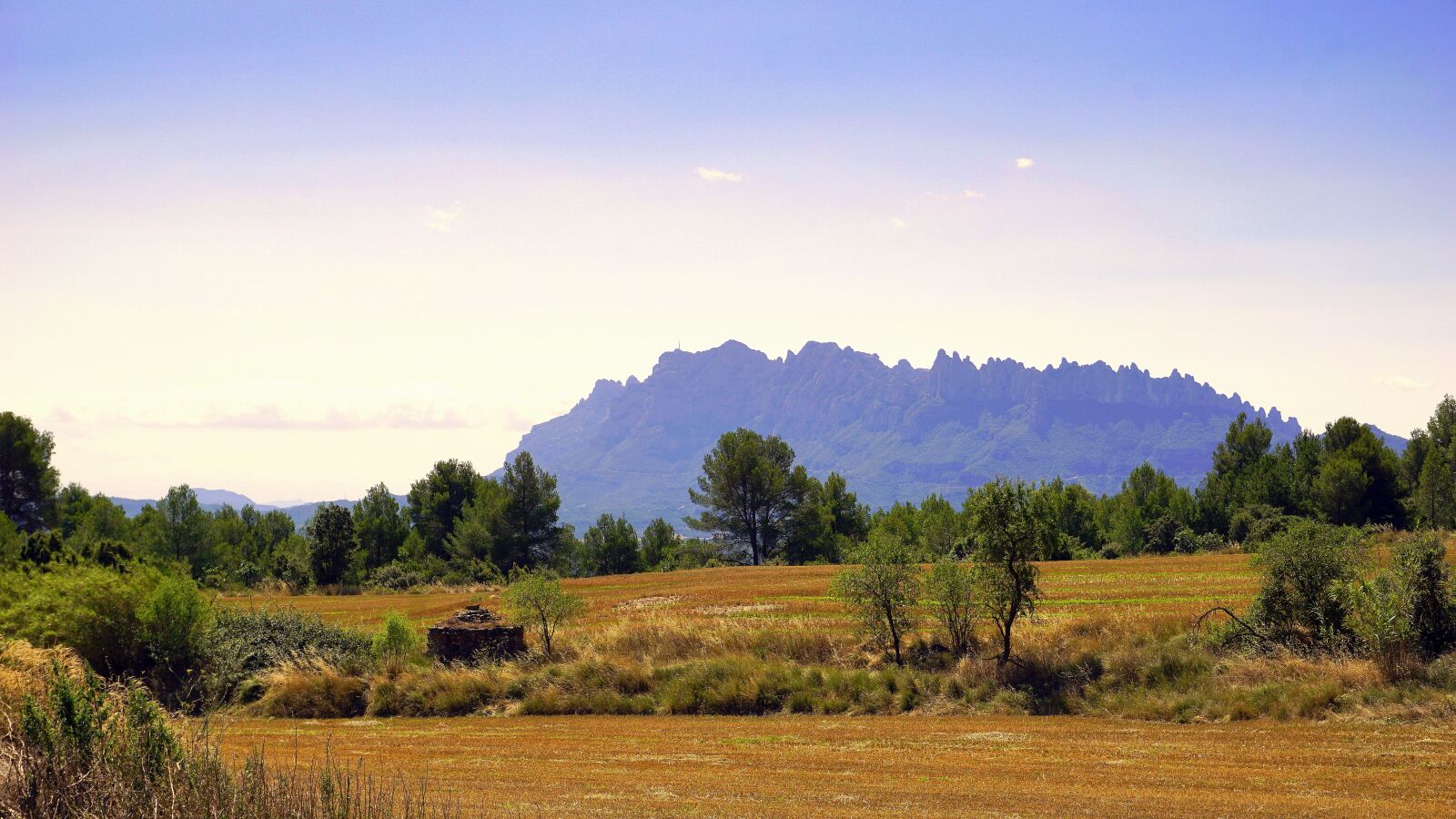 Sony a6000 sample photo. Crop fields, wheat, agriculture photography