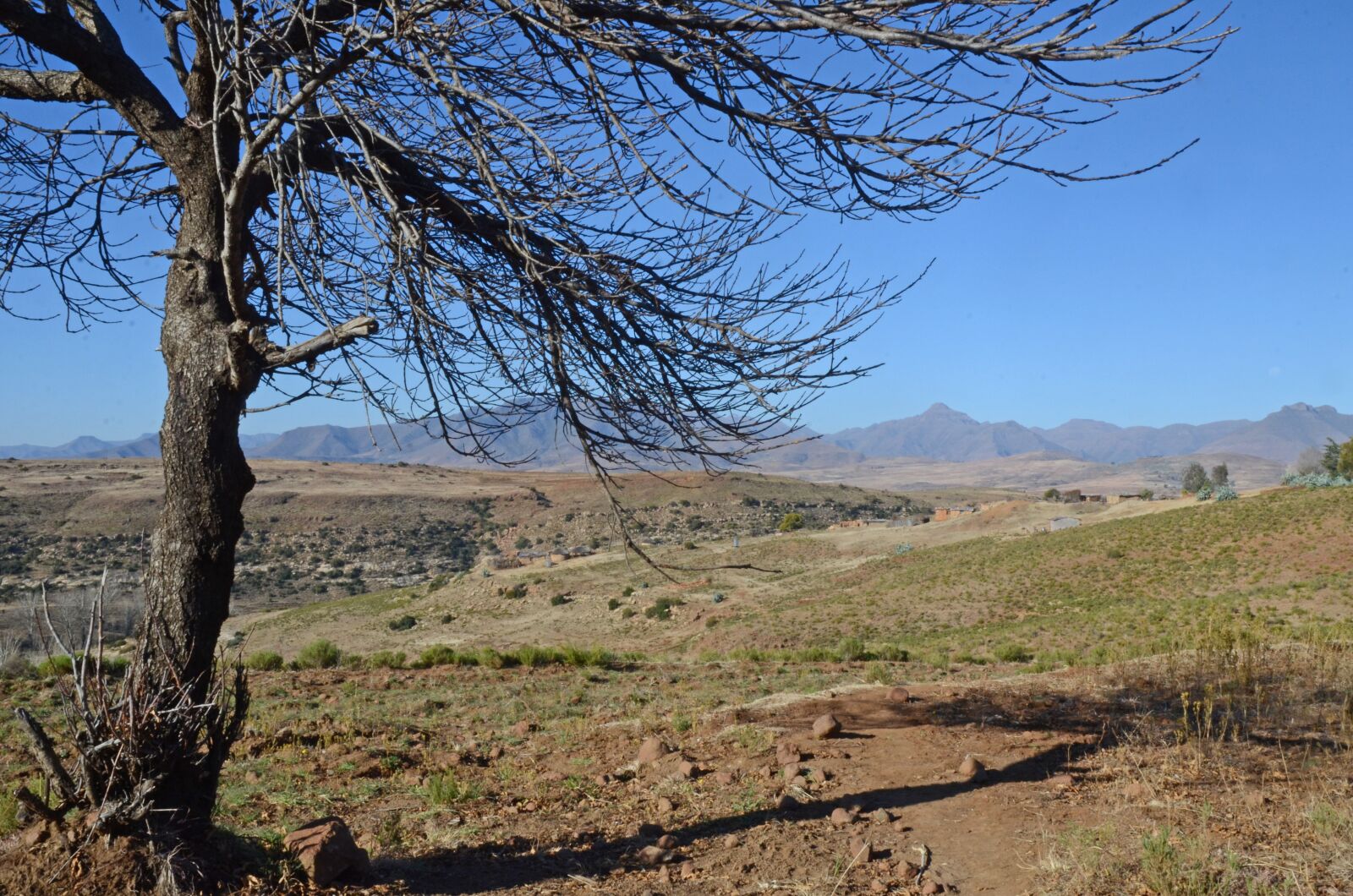 Nikon D7000 sample photo. Landscape, tree, scenery photography