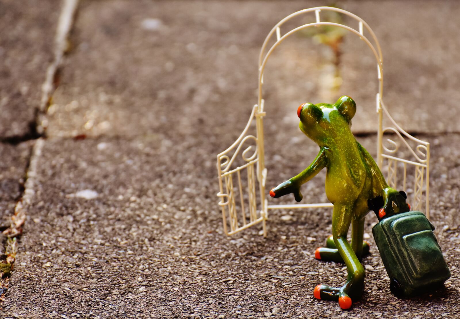 Nikon D7200 sample photo. Archway, garden door, frog photography