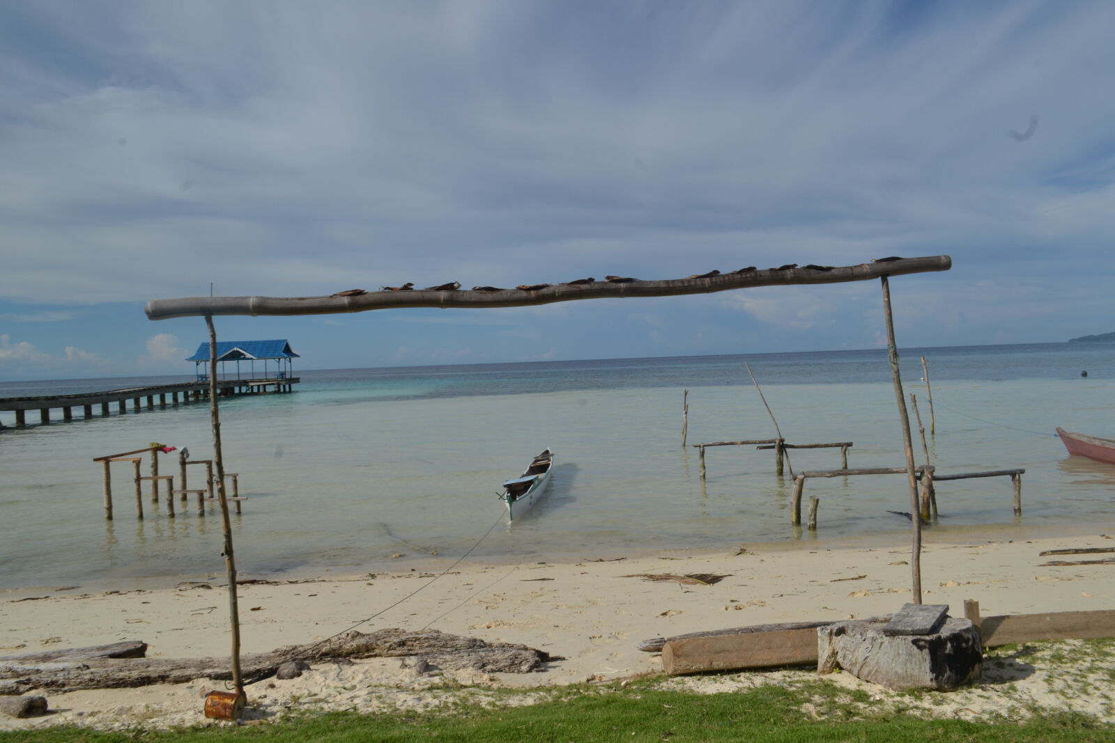 Nikon D3100 sample photo
