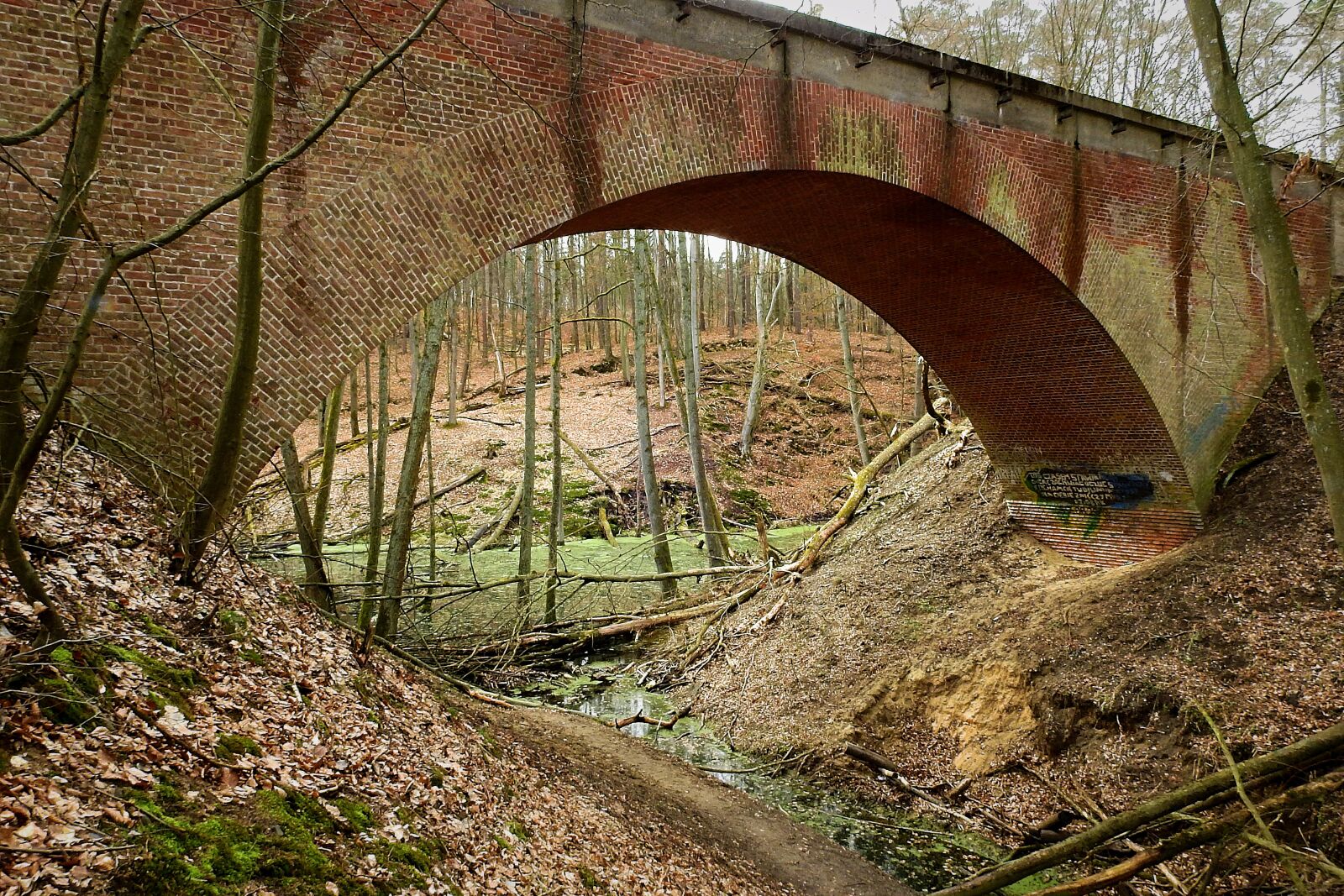 Nikon Coolpix P900 sample photo. The viaduct, the brook photography