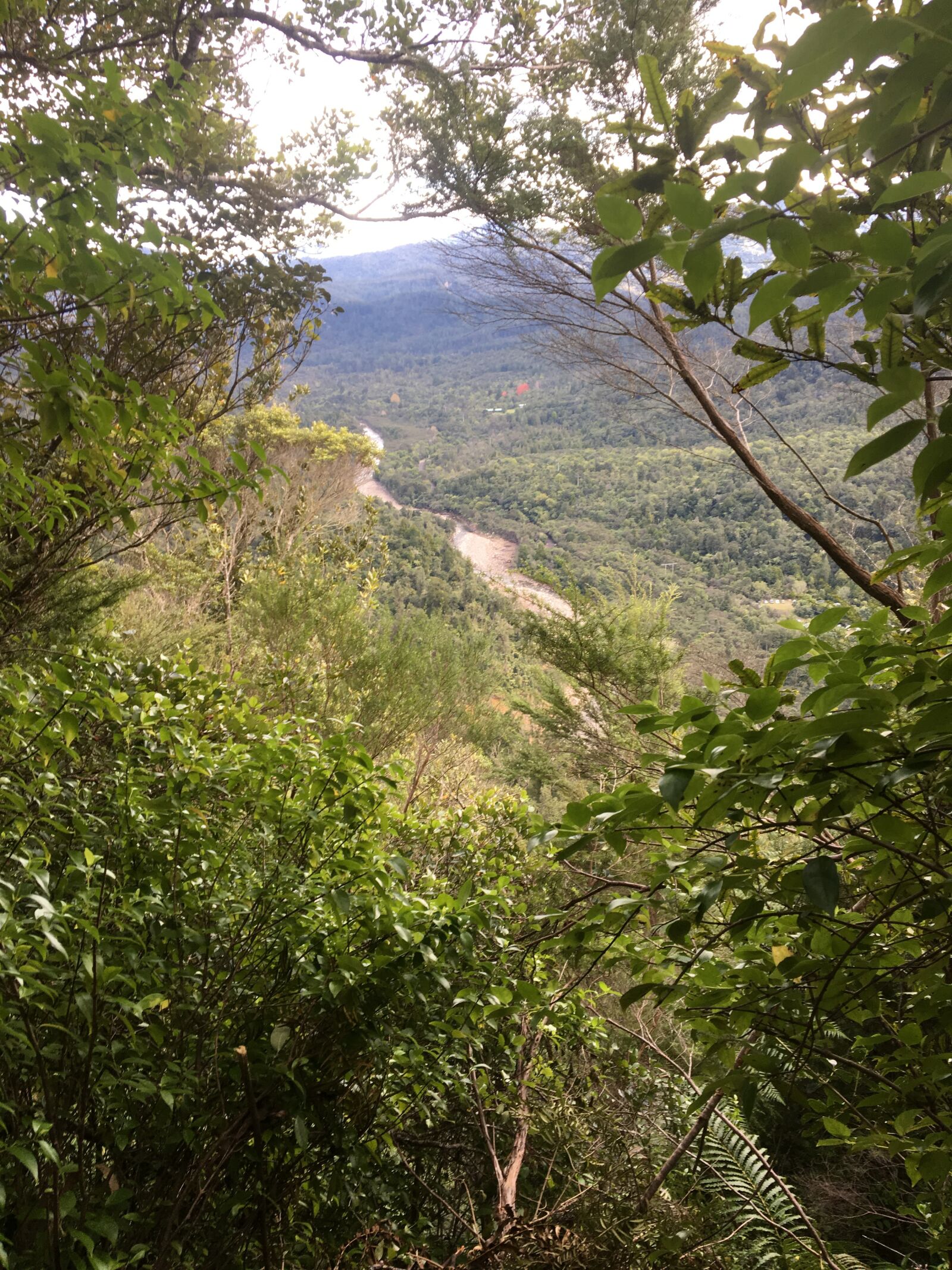 Apple iPhone 6s sample photo. Thames, trek, kauaeranga photography