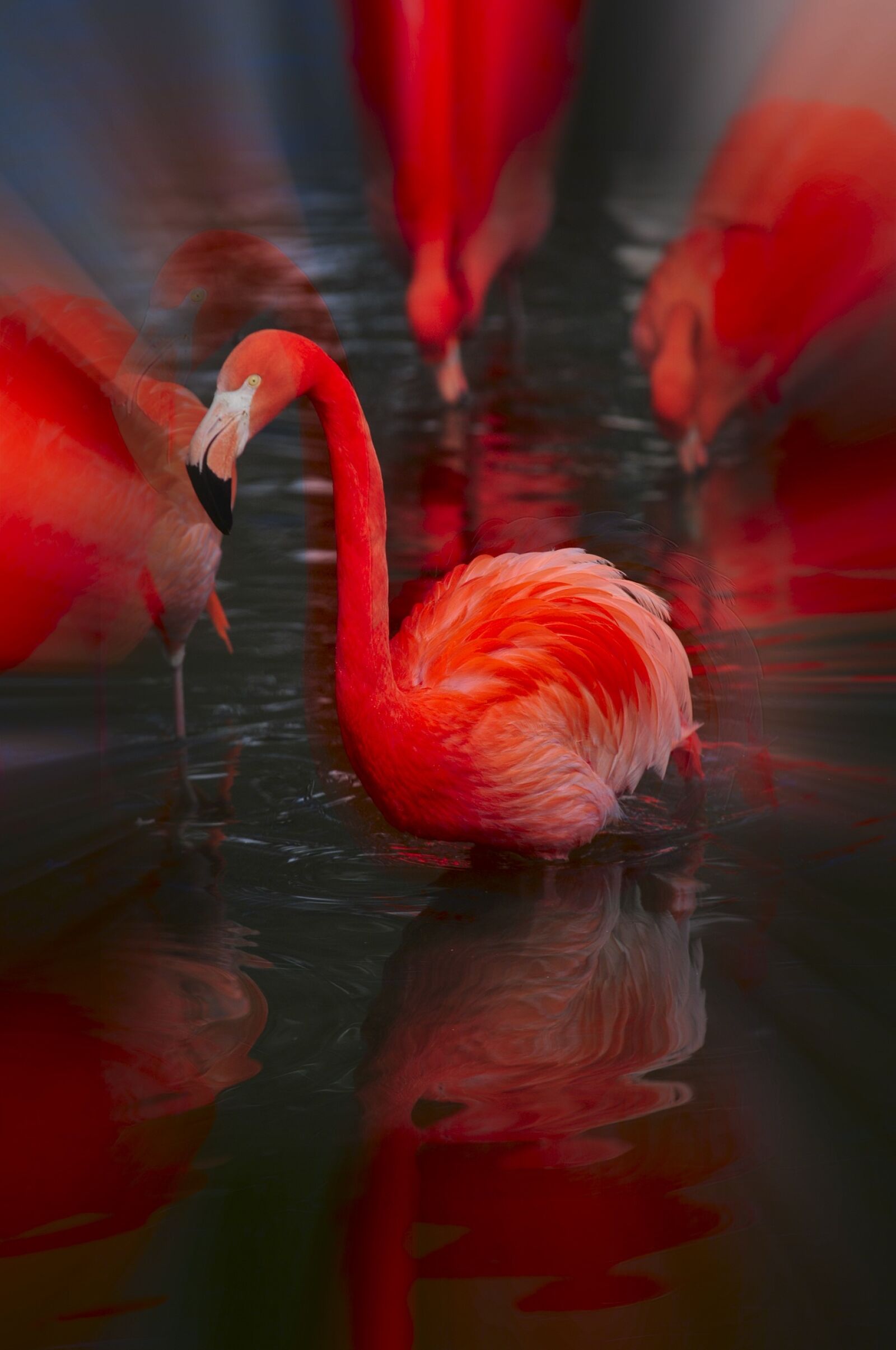 Nikon D300 sample photo. Zoo, hellabrunn, munich photography