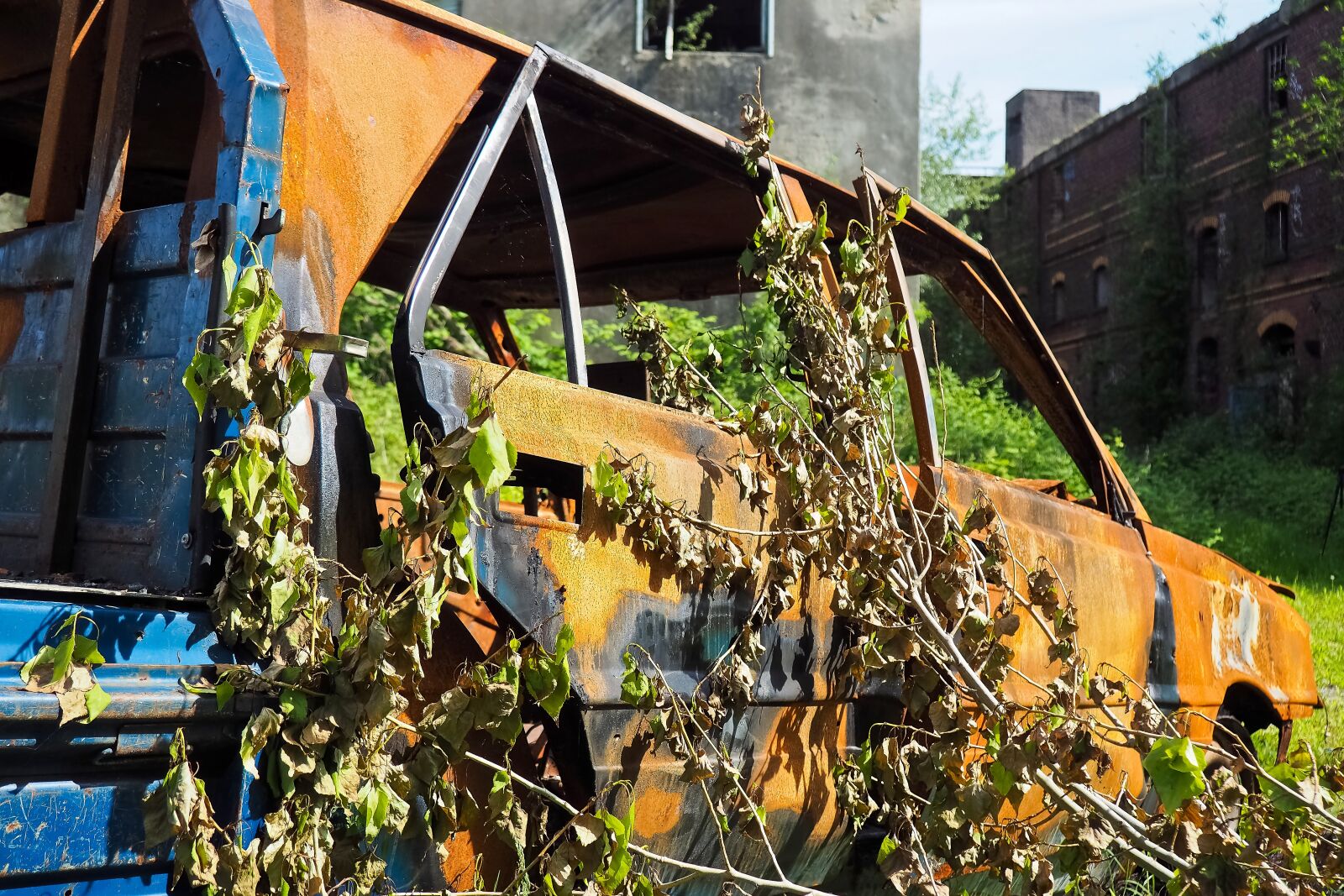 Olympus OM-D E-M10 sample photo. Lost places, auto, wreck photography