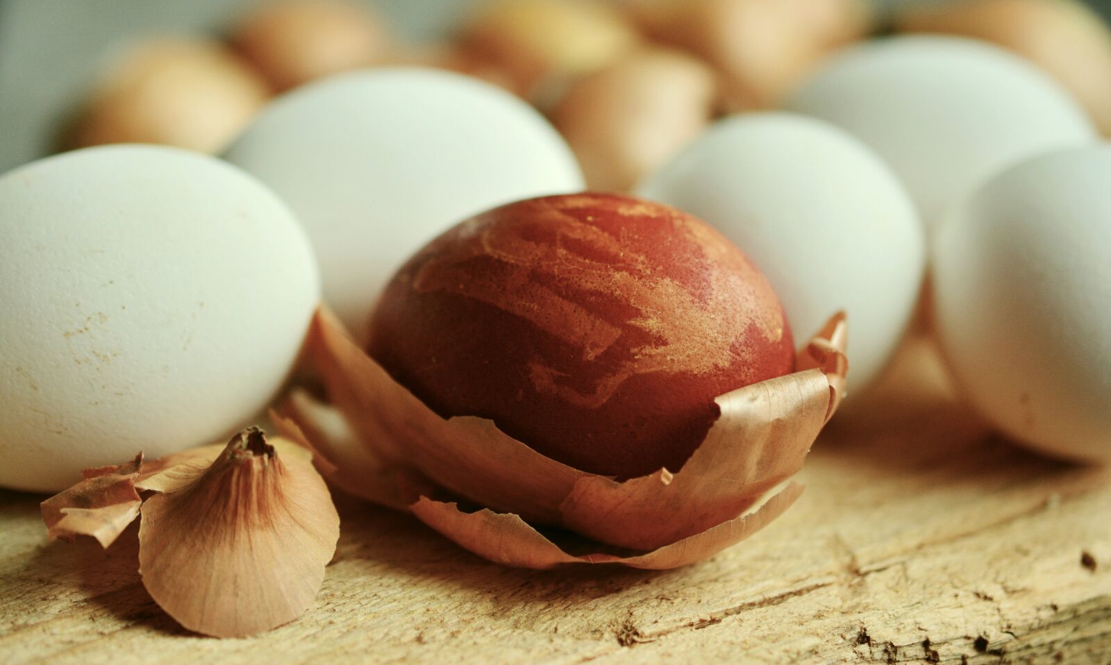 Nikon D5200 sample photo. Egg, easter egg, onion photography