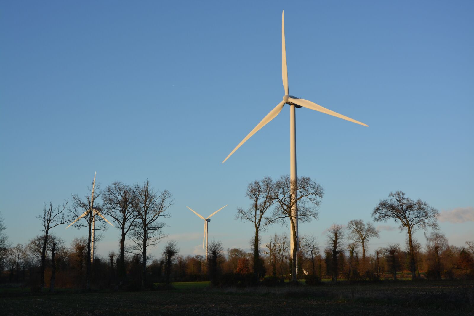 Nikon D5200 sample photo. Wind turbines, site, wind photography
