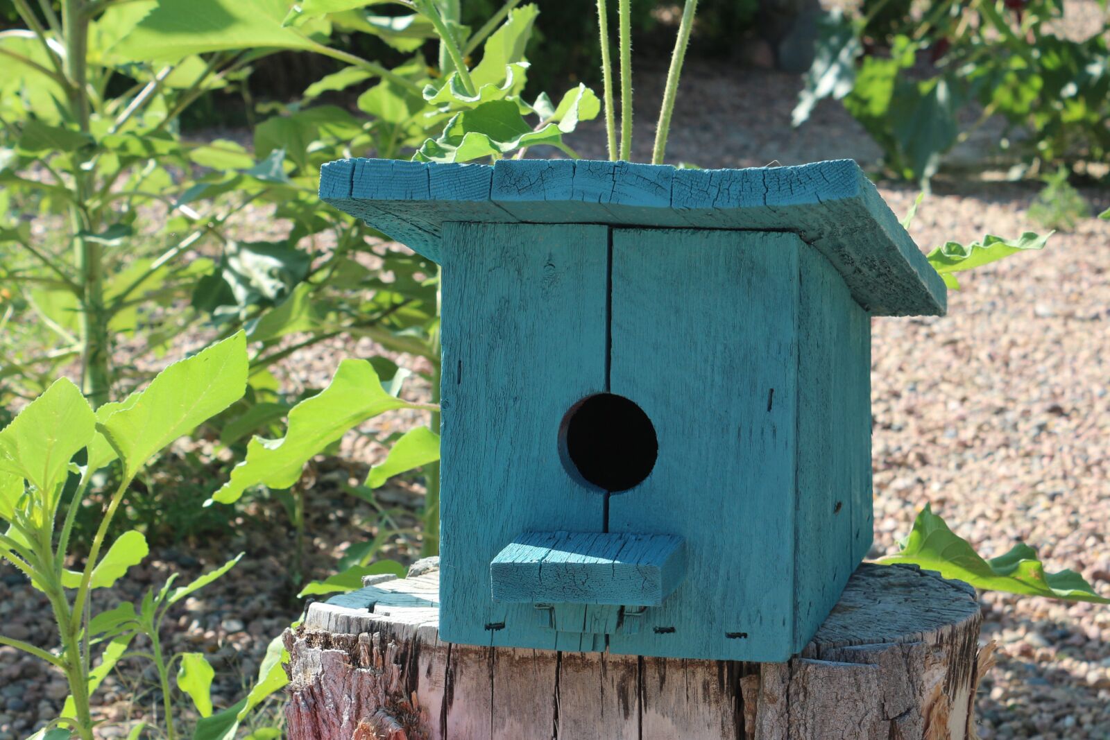 Canon EOS 650D (EOS Rebel T4i / EOS Kiss X6i) + Canon EF-S 18-55mm F3.5-5.6 IS II sample photo. Bird house, teal, outdoors photography